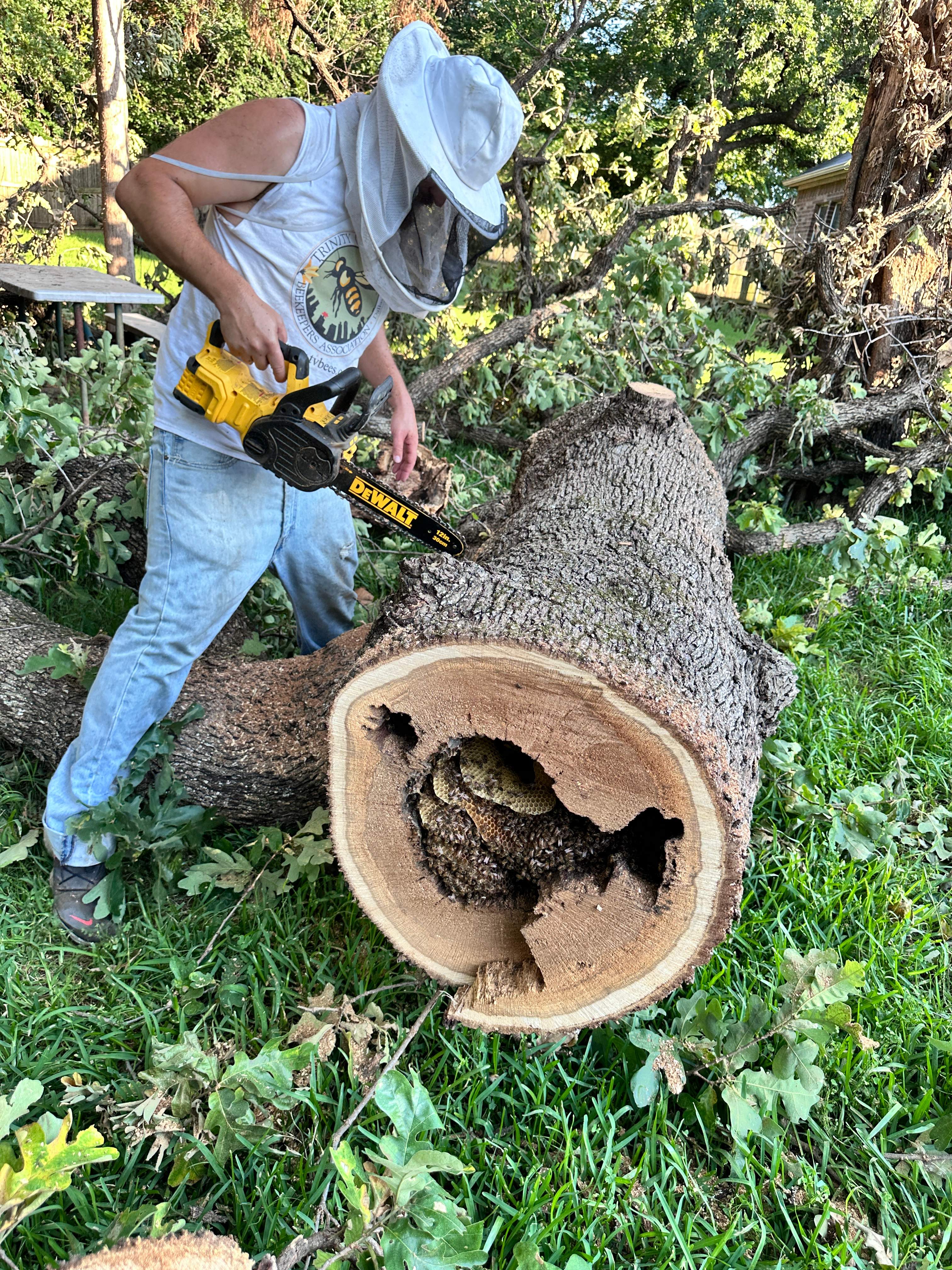 Wina-tree-go by Rockwall Honey Bee Company