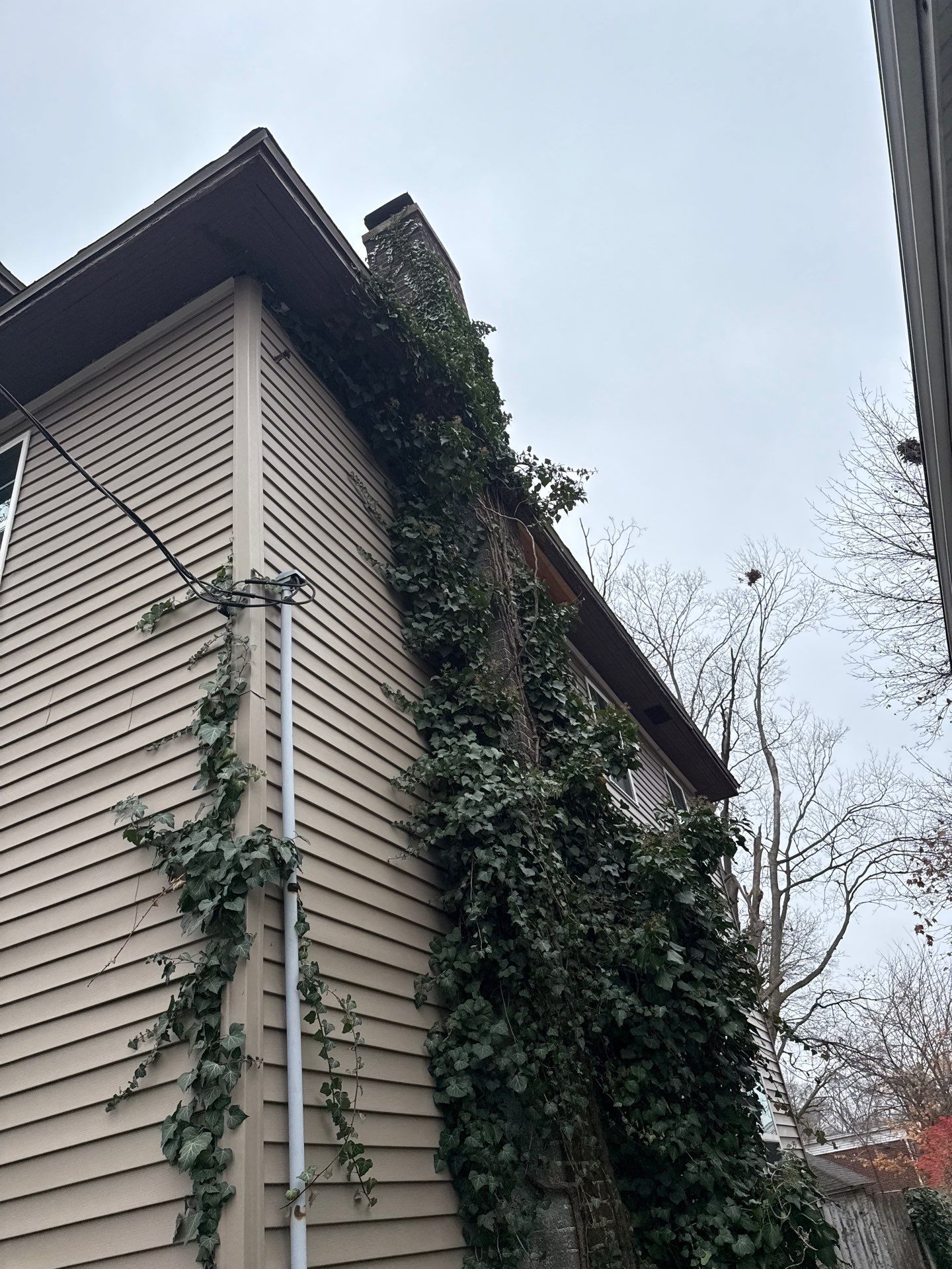 Lansing by Sunrise Seamless