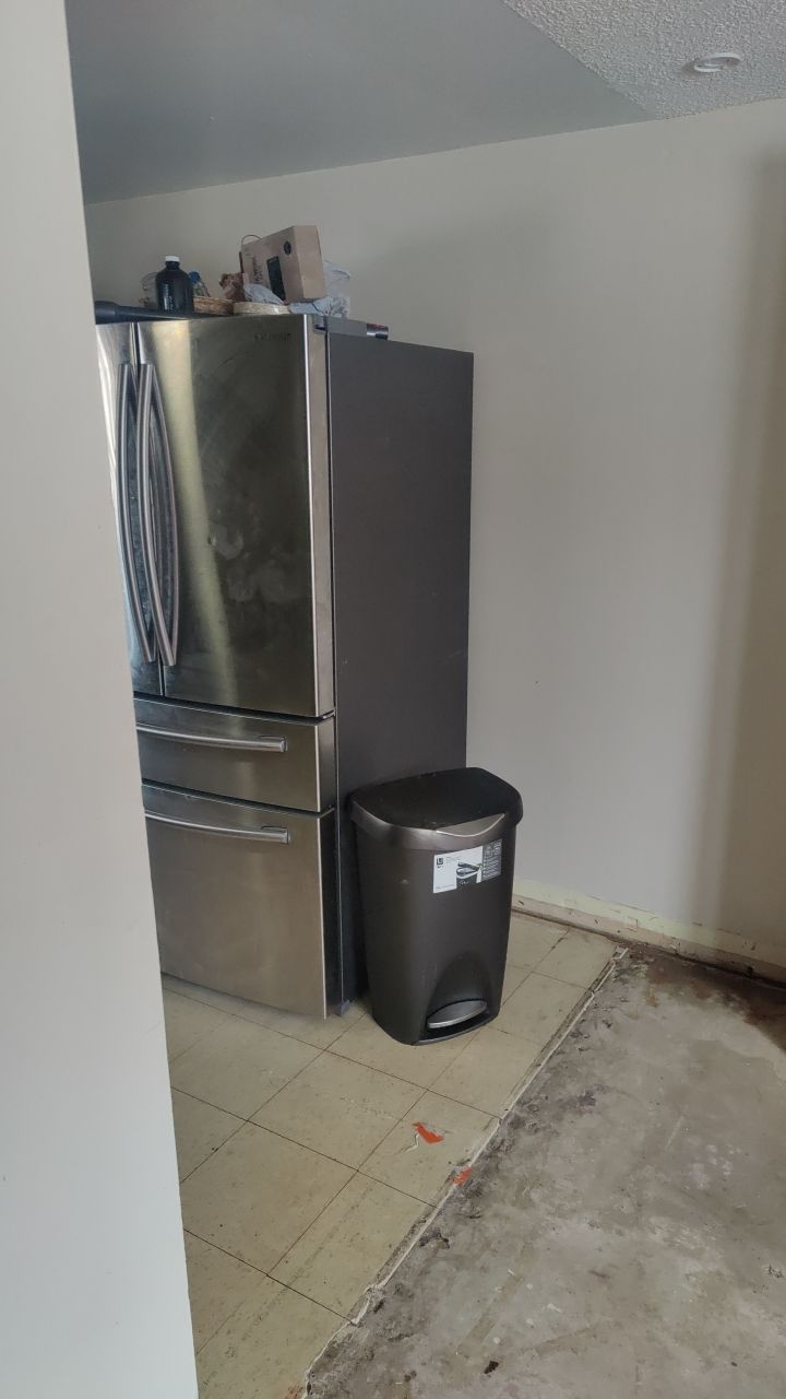 Mold Remediation by Accountable Home Services