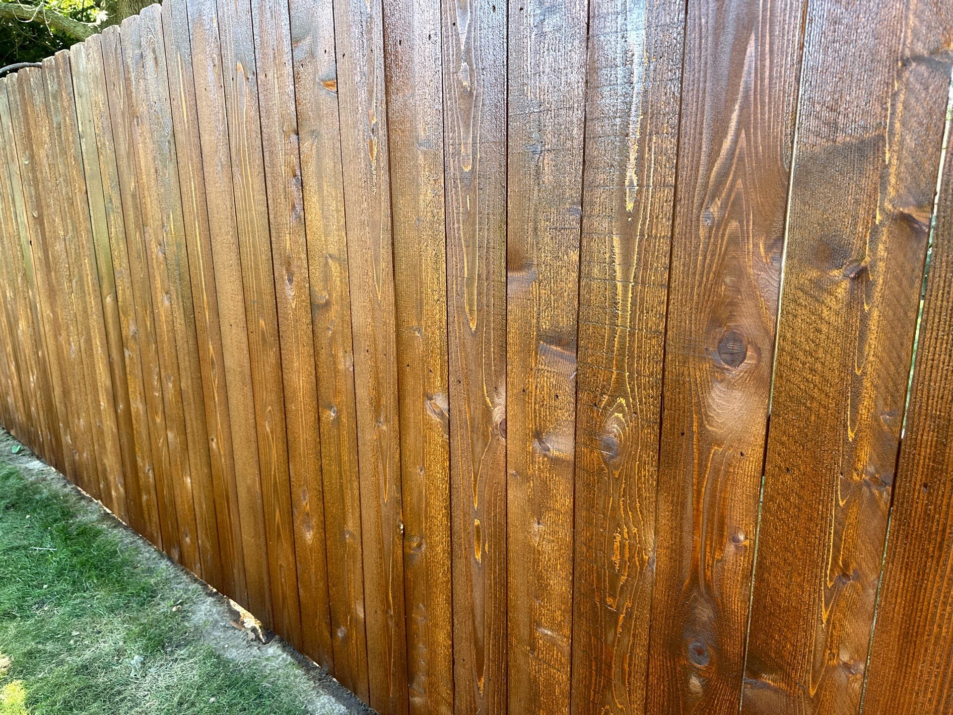 Fence Treatment by Two Brothers Residential Maintenance
