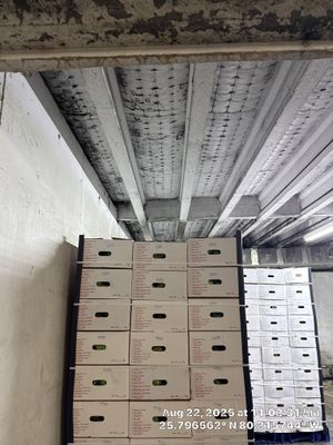 MOLD REMEDIATION