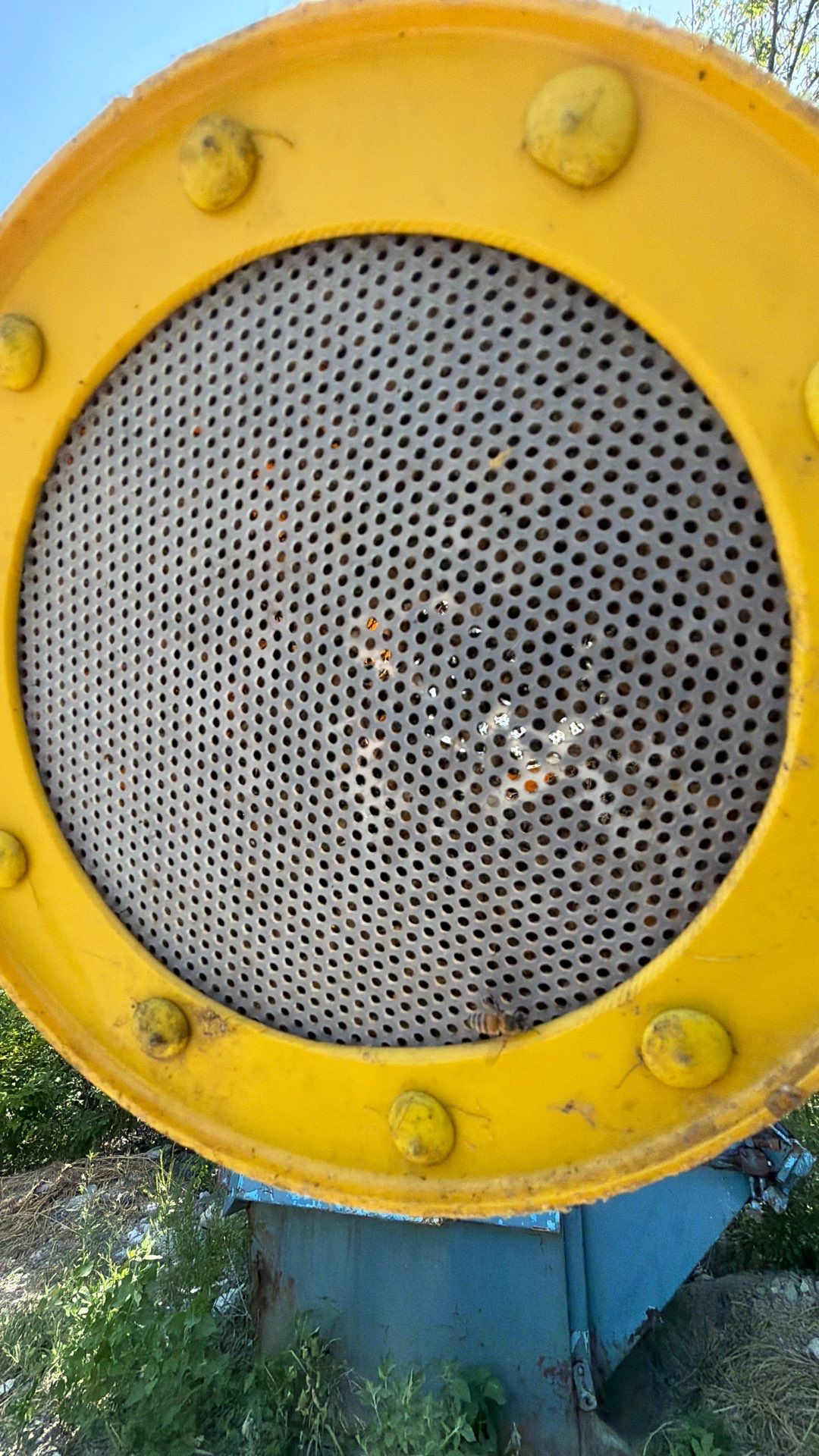 Backhoe Bees by Rockwall Honey Bee Company