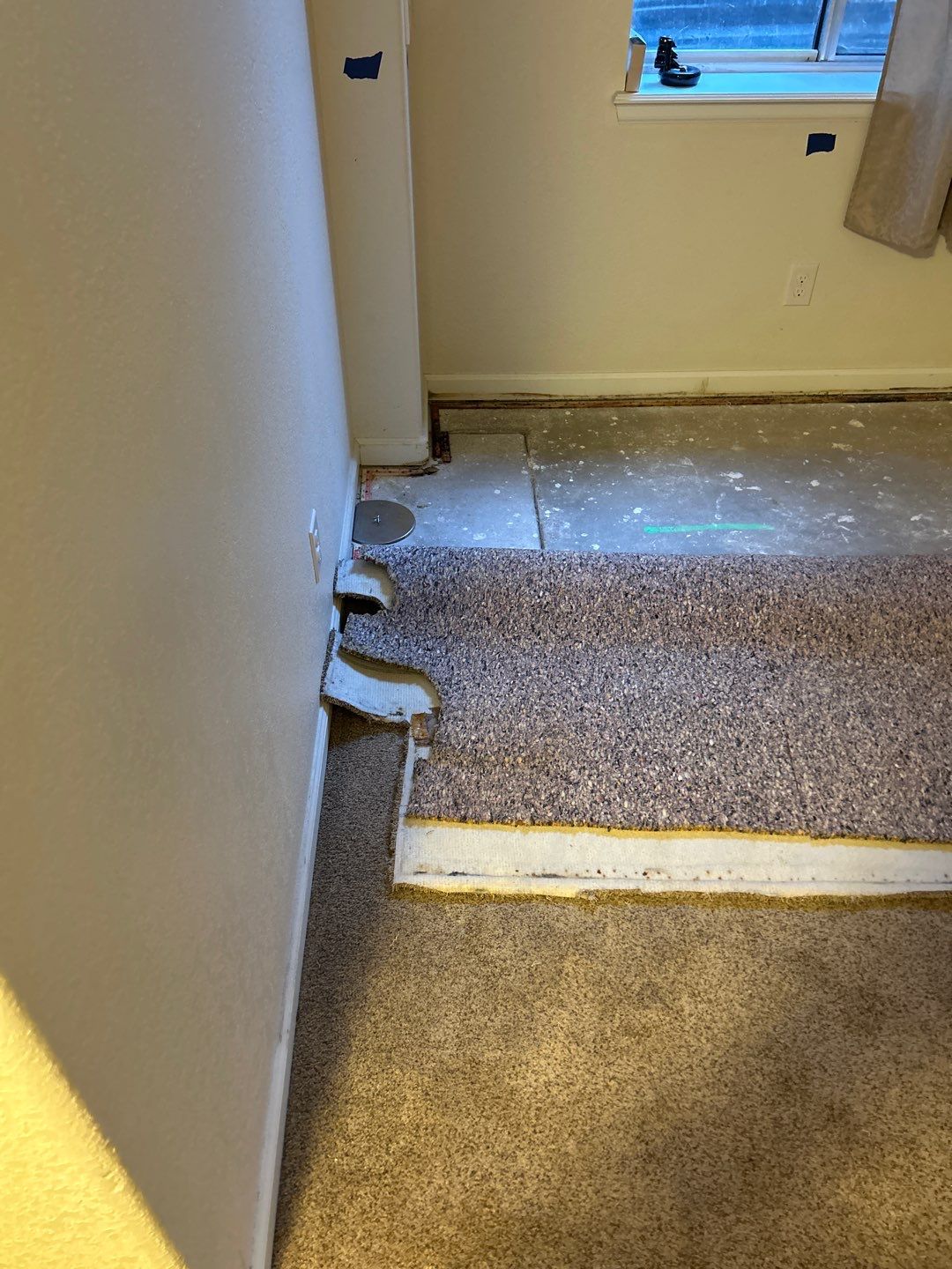 Mold Damage Project in Thornton by Accountable Home Services