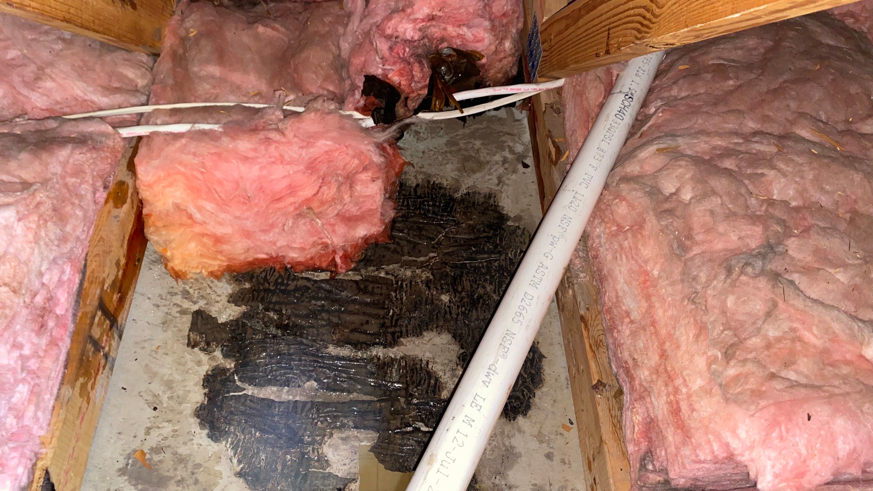 Mold and Water Damage in Belaire Ohio Home  by Home Environment Solutions