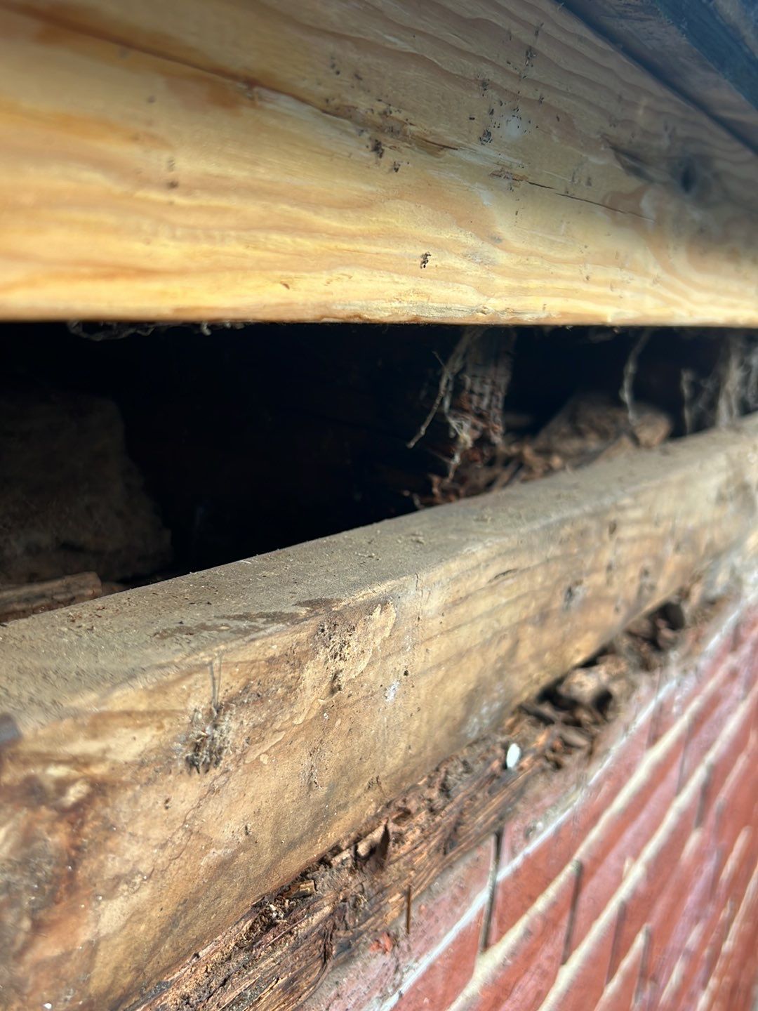 Arlington: CertainTeed Landmark Designer Shingles in Colonial Slate by RM Banning, Inc.