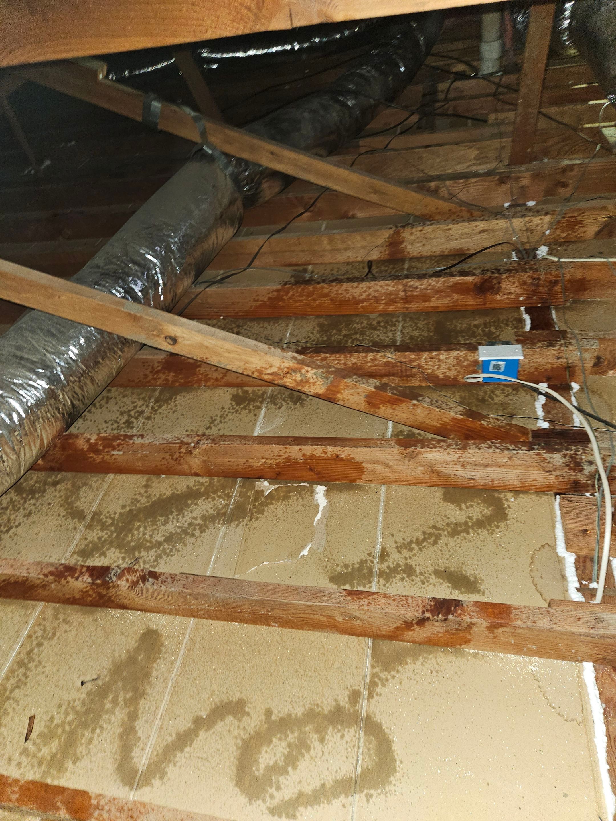 Project in Ventura by Insulation Labs