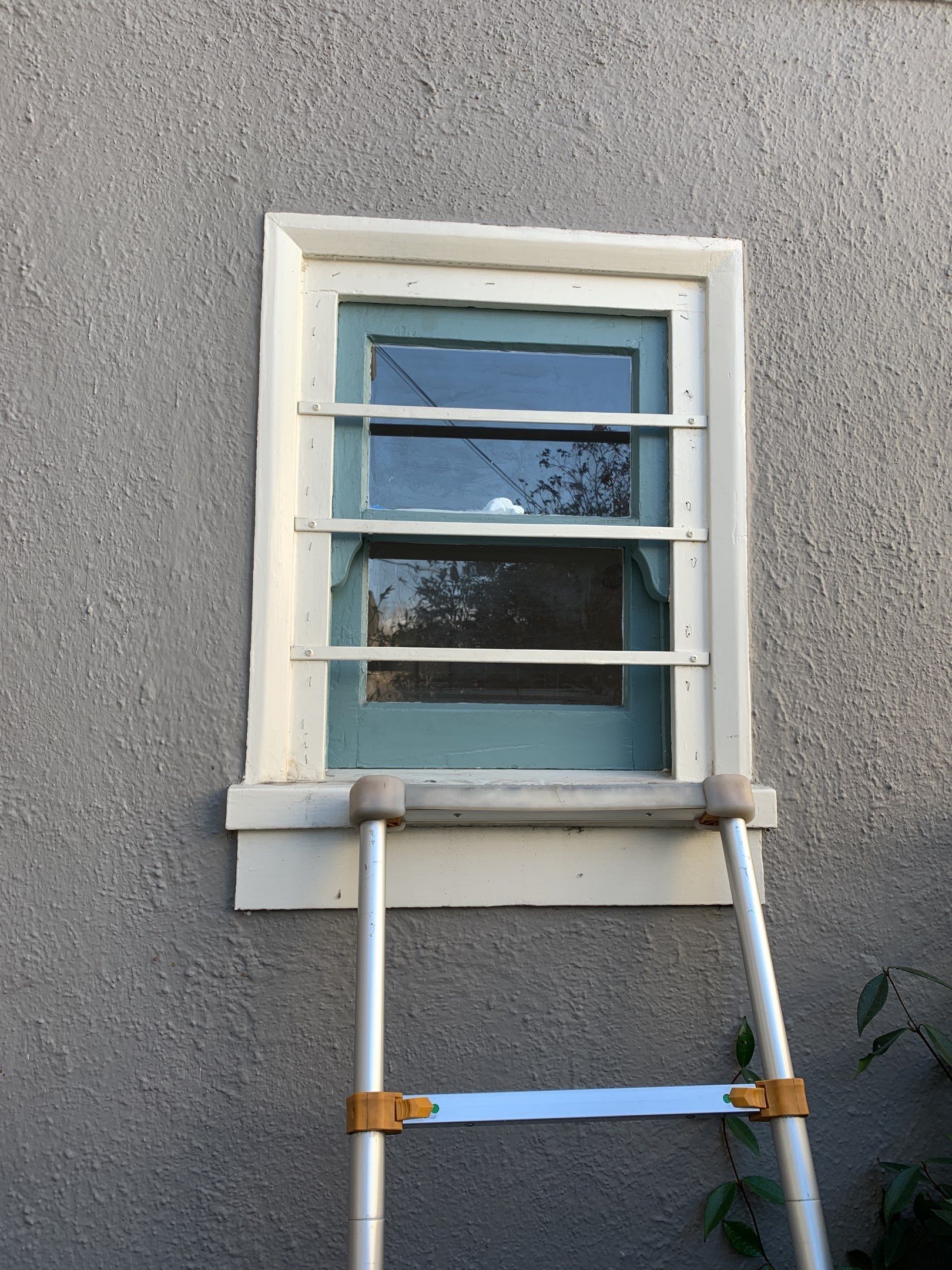 Bloom Team — 6005 Hillegas Ave by SpotFree Window Cleaning