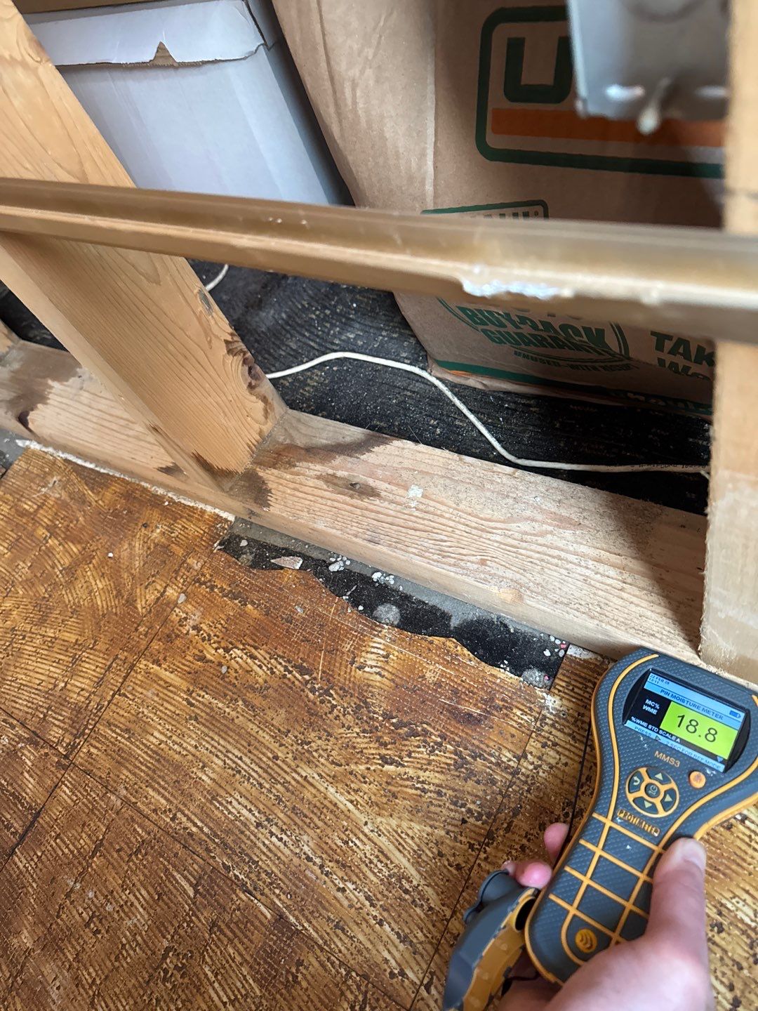 Project in Royal Oak by EzDry Water Mitigation & Property Restoration