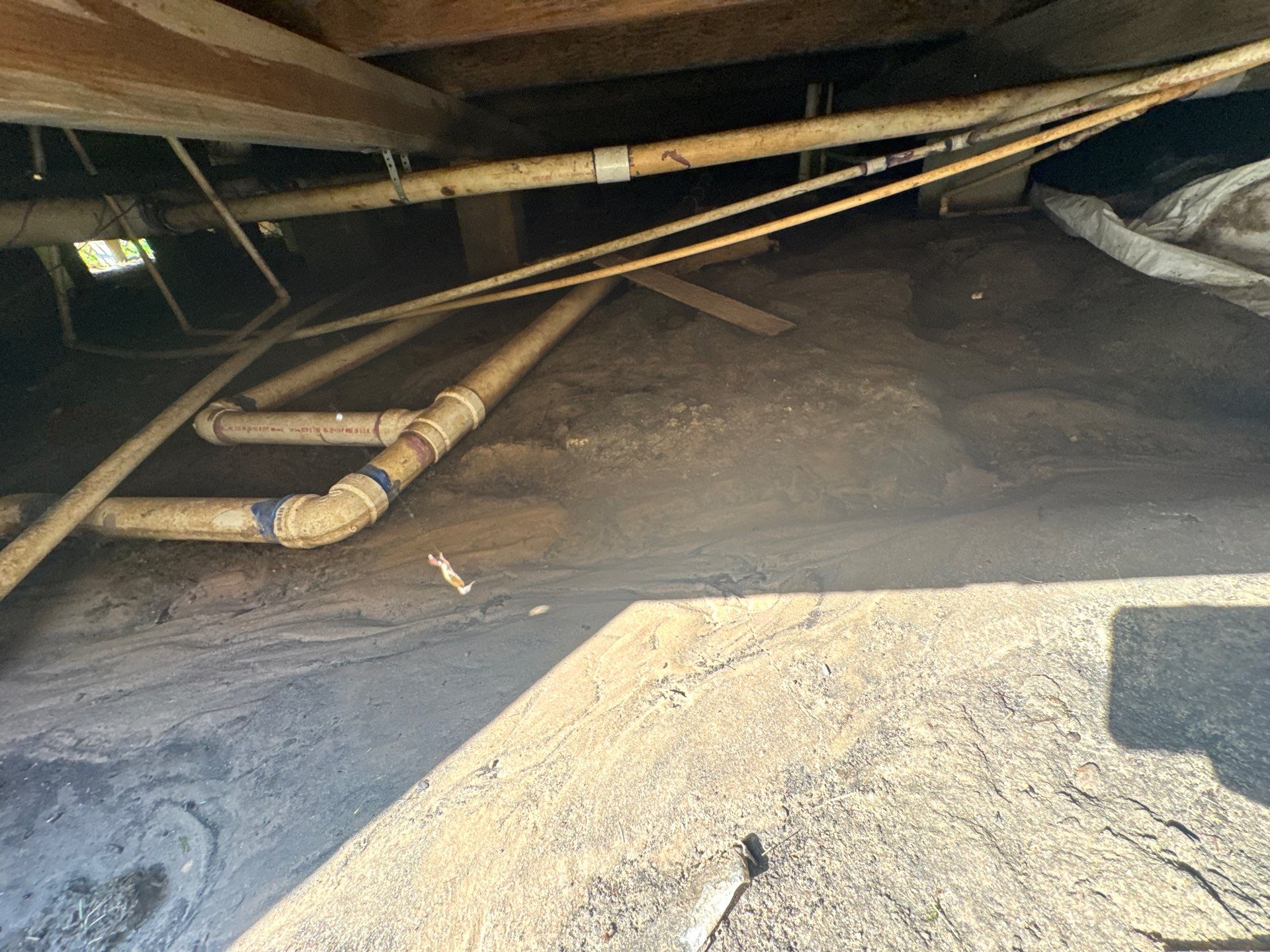 Water dry rotted flooring by Harden Enterprise Services LLC