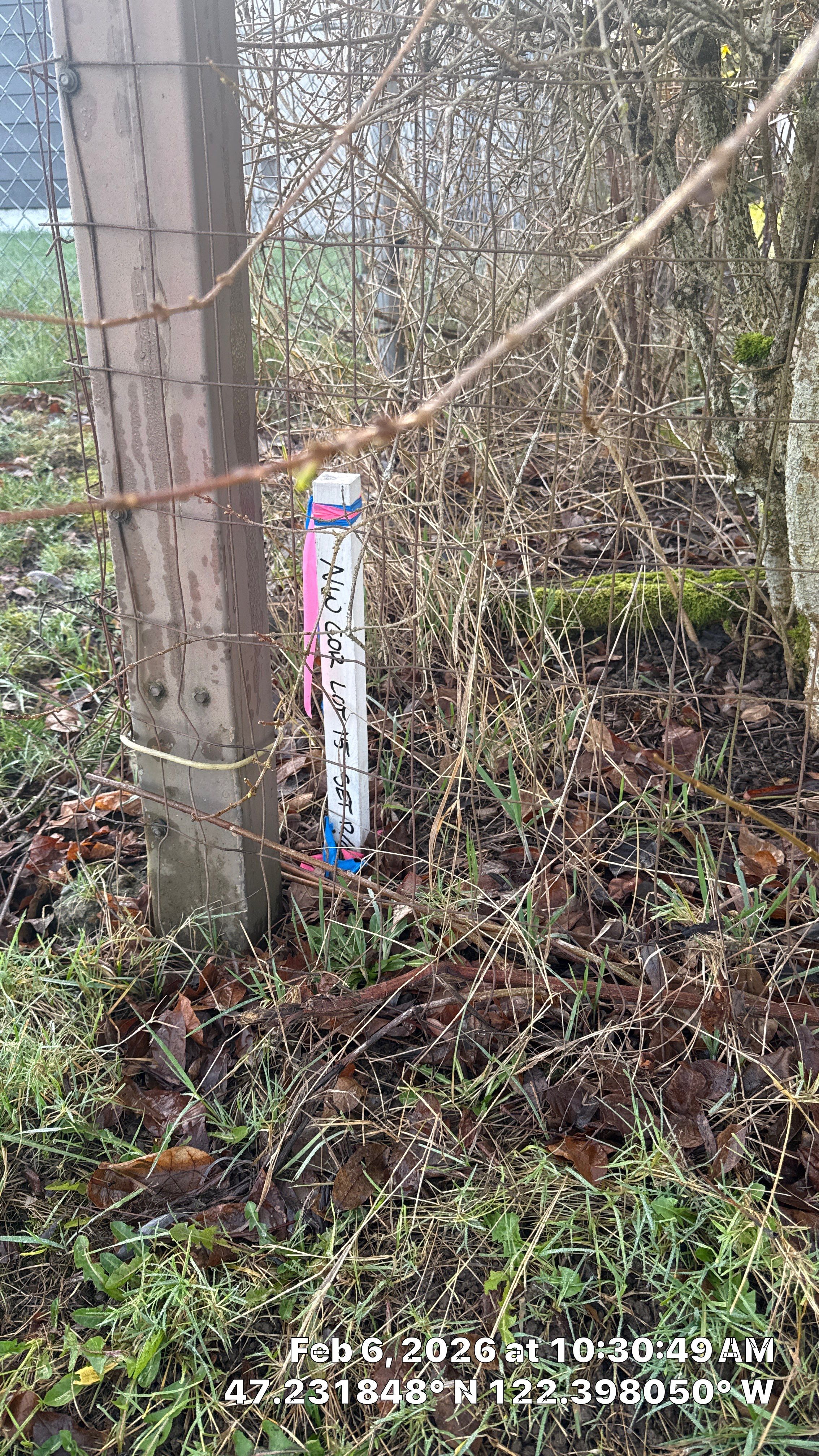 Arborist Development Report for Proposed Site Improvements – Tacoma, WA by Sound Tree Care LLC