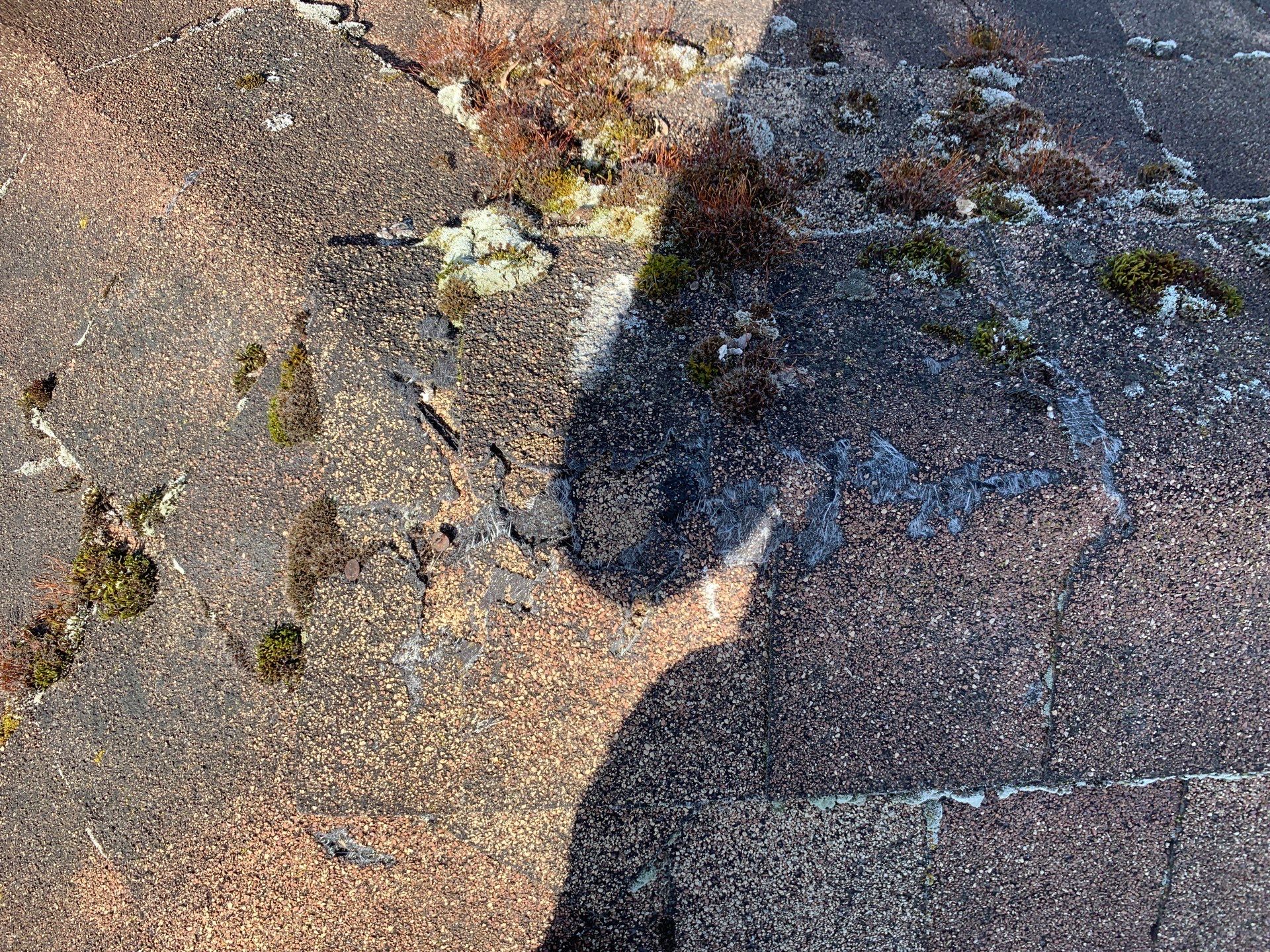 Residential Reroof Shingle - Weatherwood by Top Notch Roofing Inc