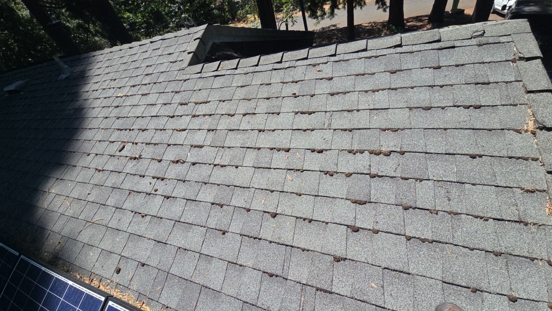 Roof Rejuvenation using Roof Maxx Treatment by Roof Maxx of Folsom