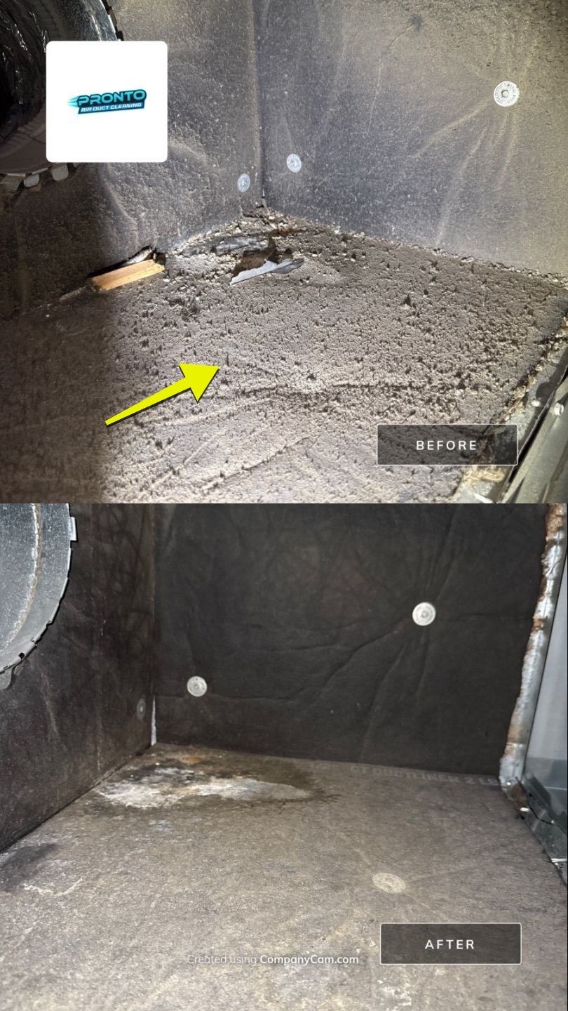 Air Duct Cleaning Gainesville, VA by Pronto Air Duct Cleaning