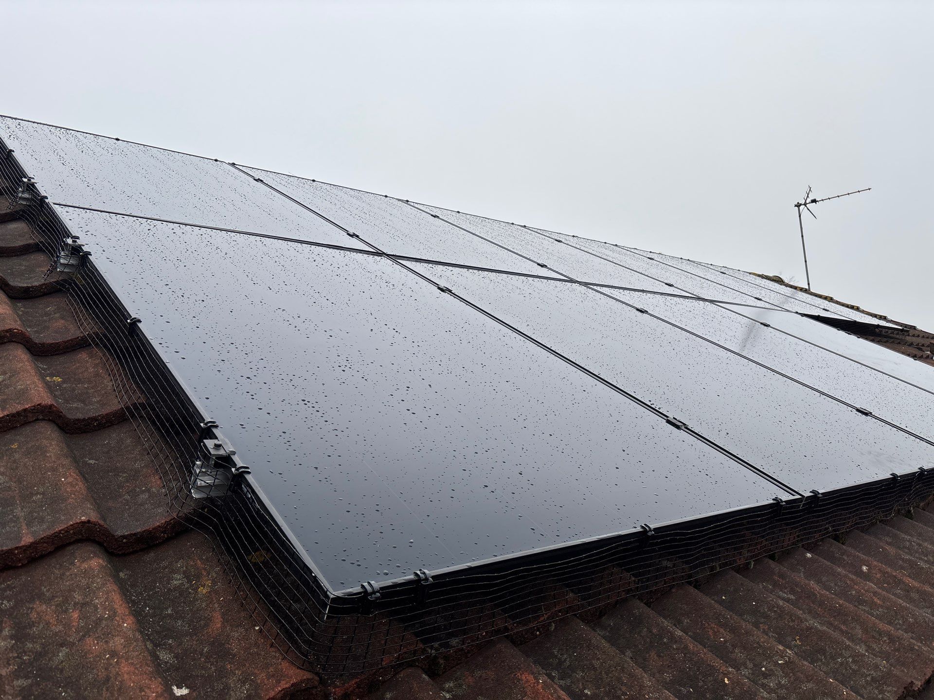 One team. One install window. A smarter way to go fully renewable. by Elite Services Group Ltd