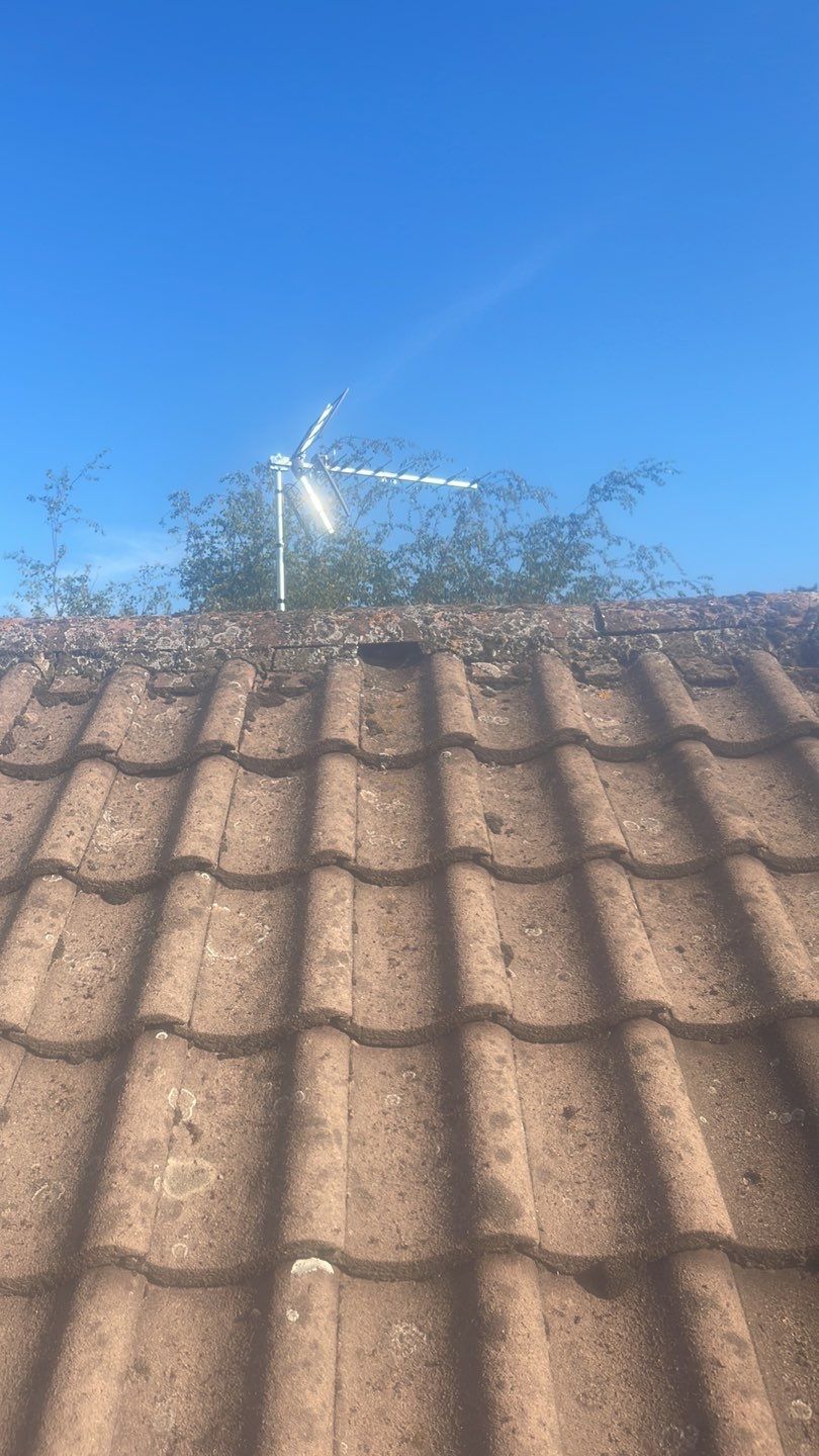 Roof Clean - Biocide Treatment using Honda 15lpm Low Pressure Washing Machine by Ges Exterior Cleaning ltd