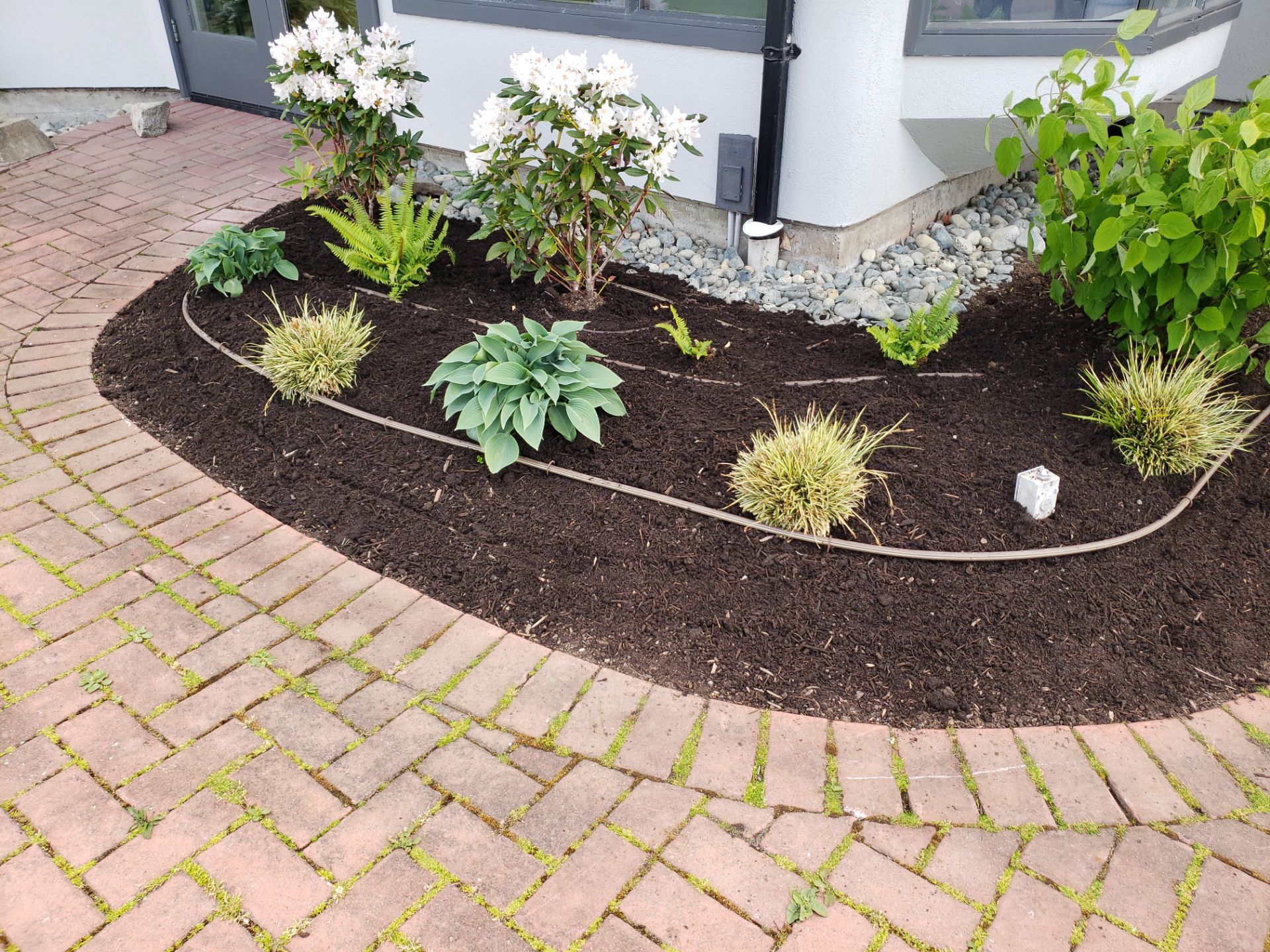 Sidney Pier by Habanero Garden and Exterior Care