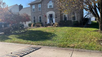 Leaf clean up using Leaf vaccum