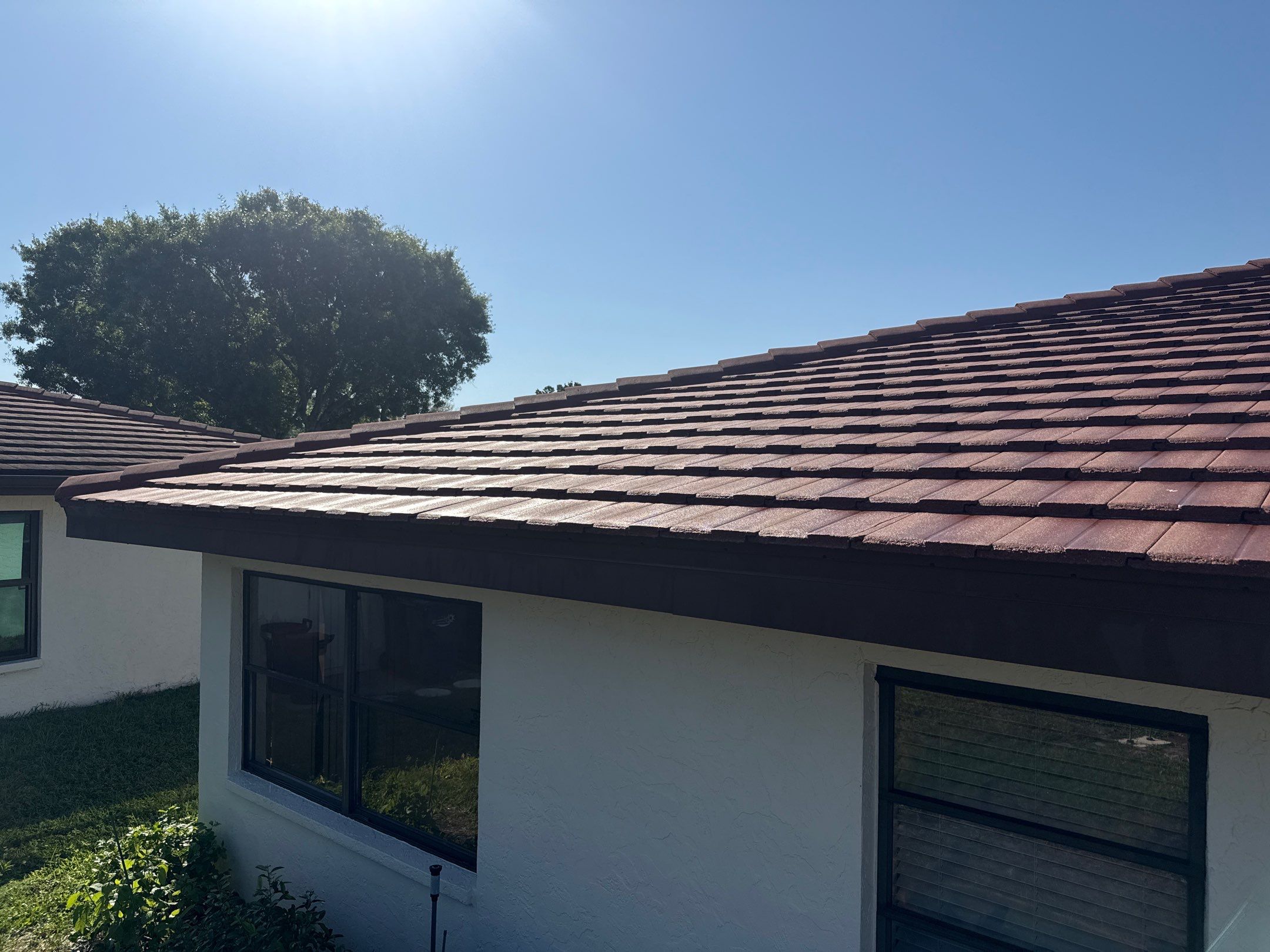 Tile Roof Cleaning – Vivenda at Bradenton I (5-Star Review & Plant Protection) by Sunshine AquaWash