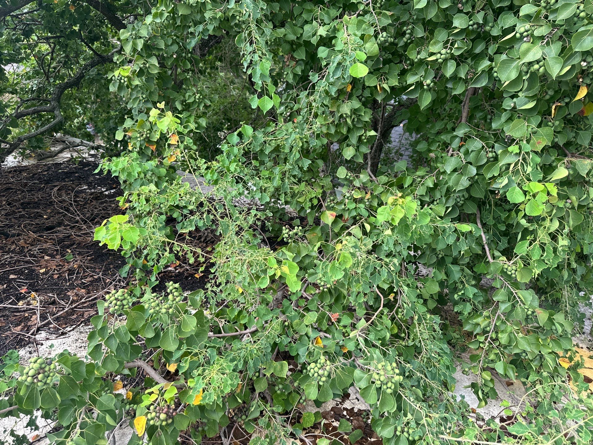 JCT Solutions, LLC featured photo.