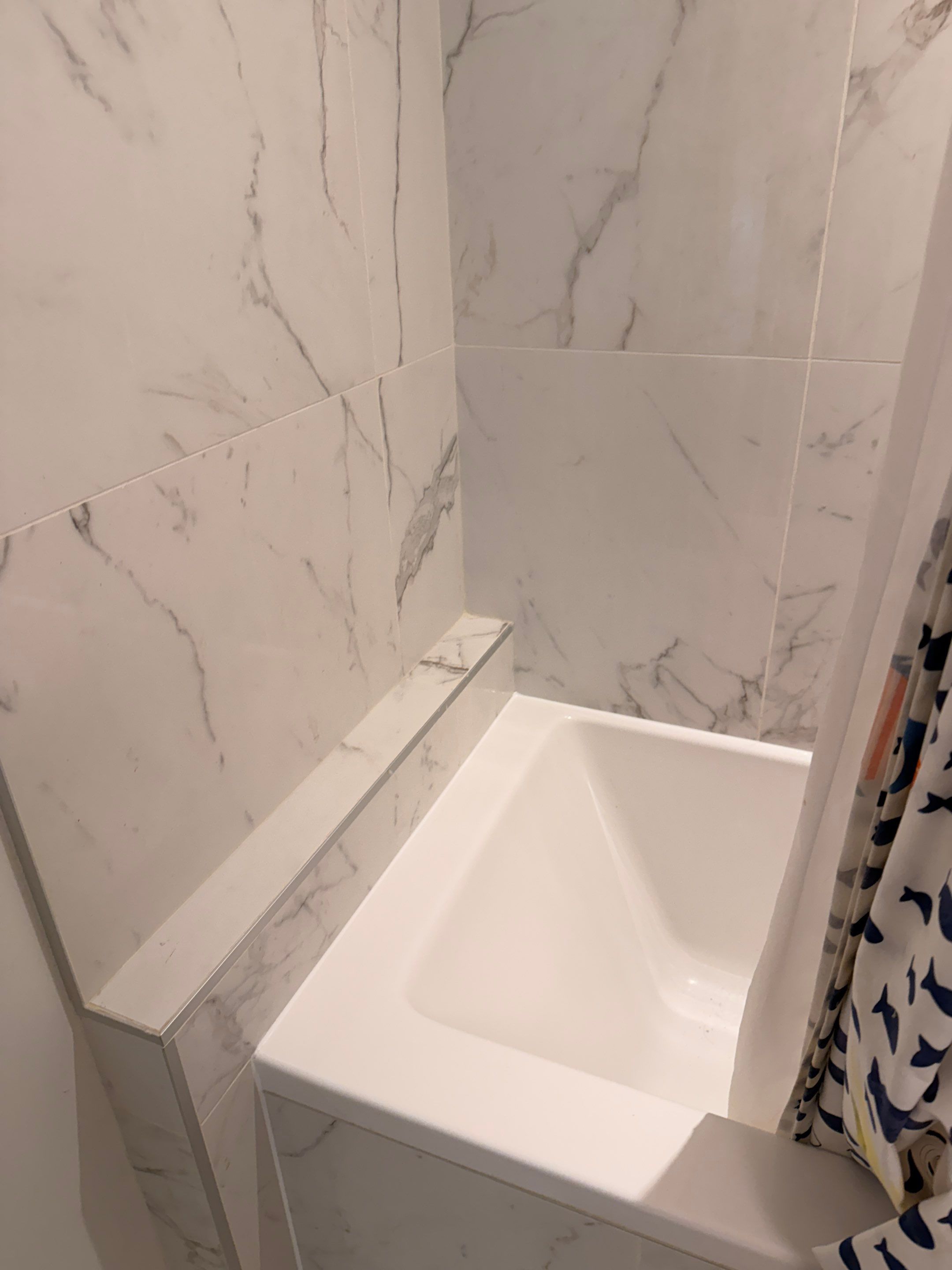Bathroom Refresh & Mold Remediation in Tub and Shower Area by YVR Construction Group