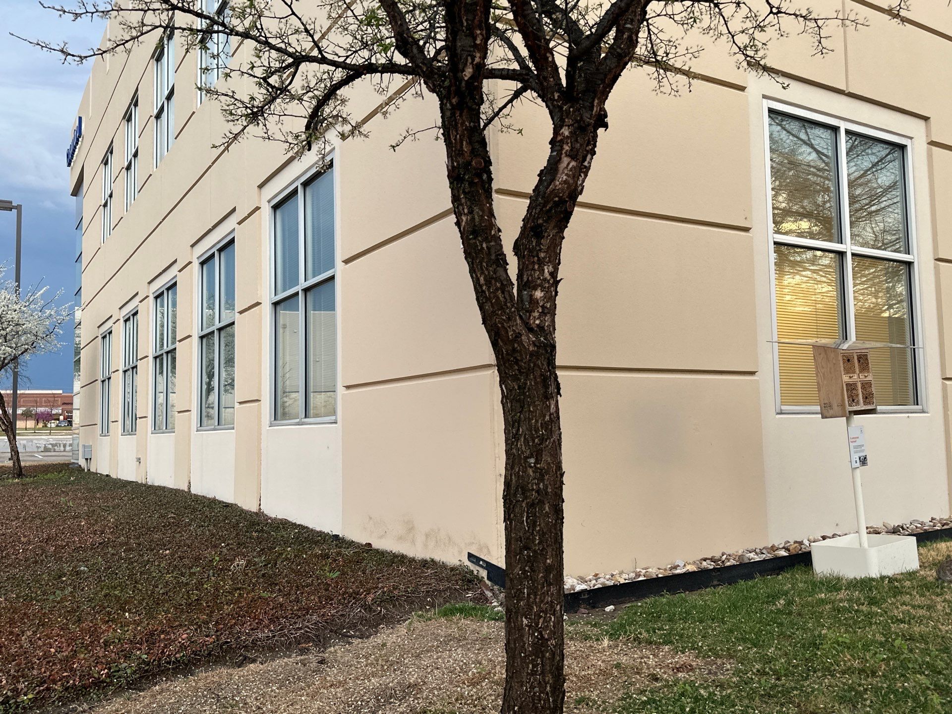 Allen Company by Rockwall Honey Bee Company