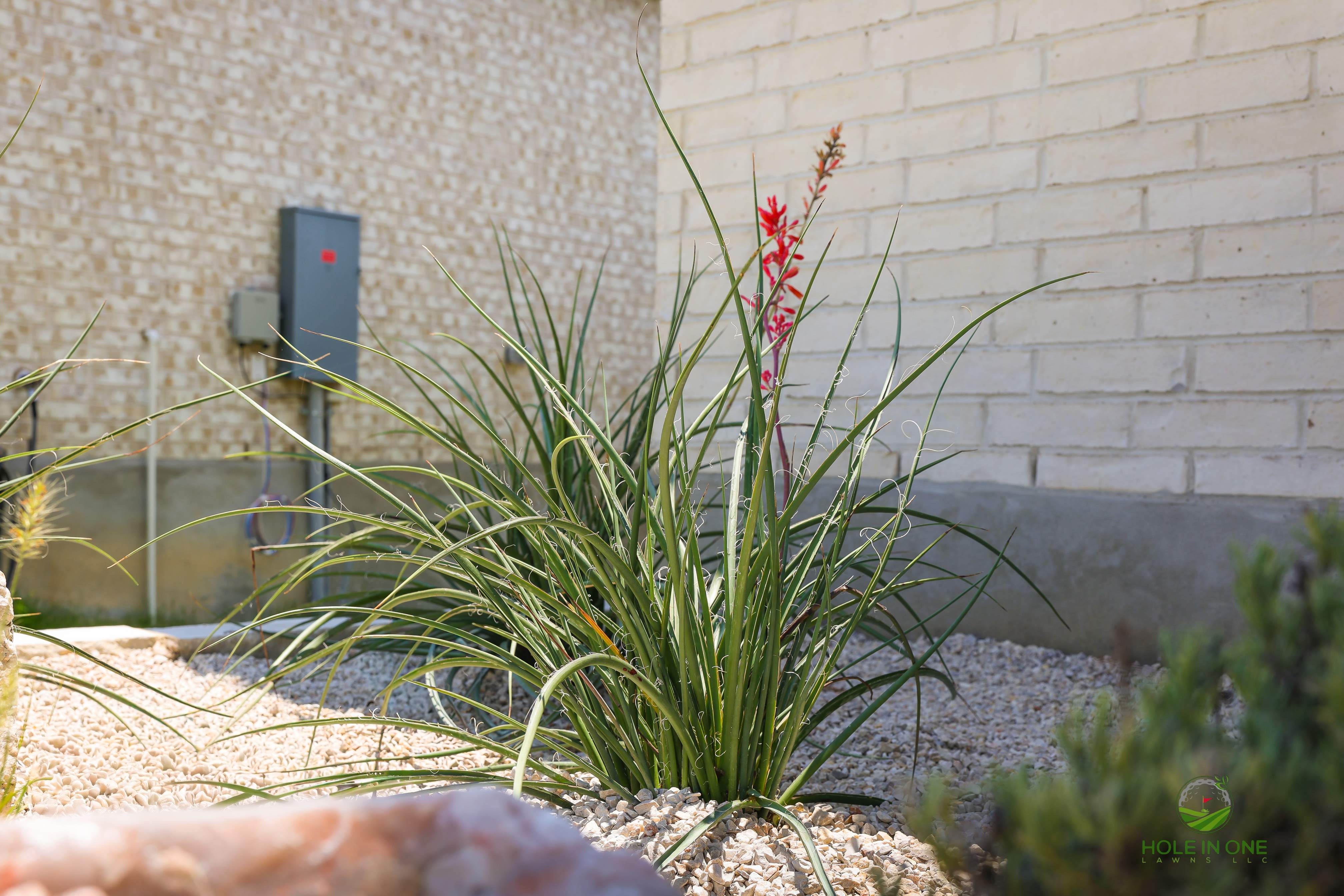 The Ranches at Creekside, Boerne TX by Hole In One Lawns, LLC