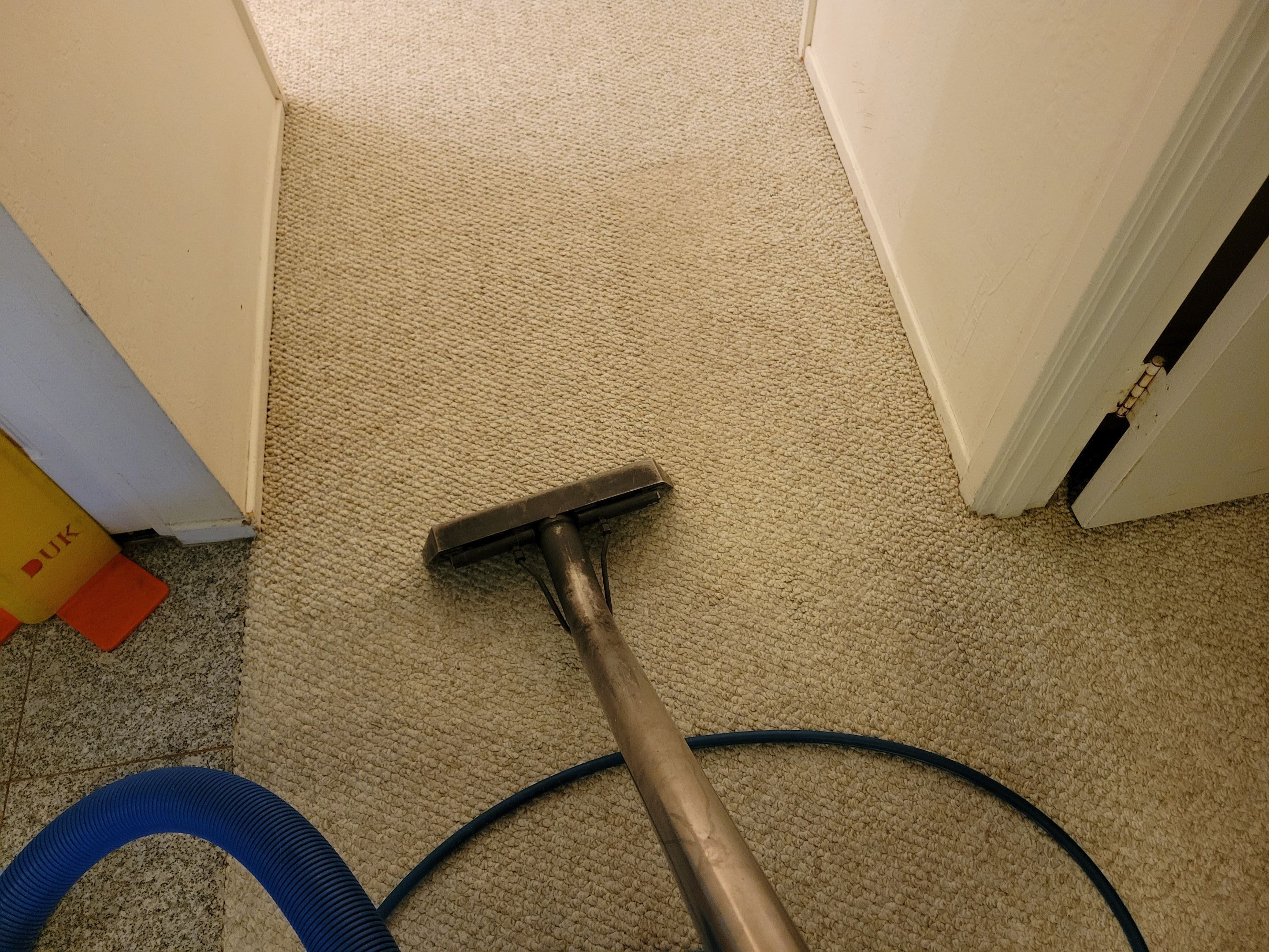 Ardent Carpet Restore LLC featured photo.