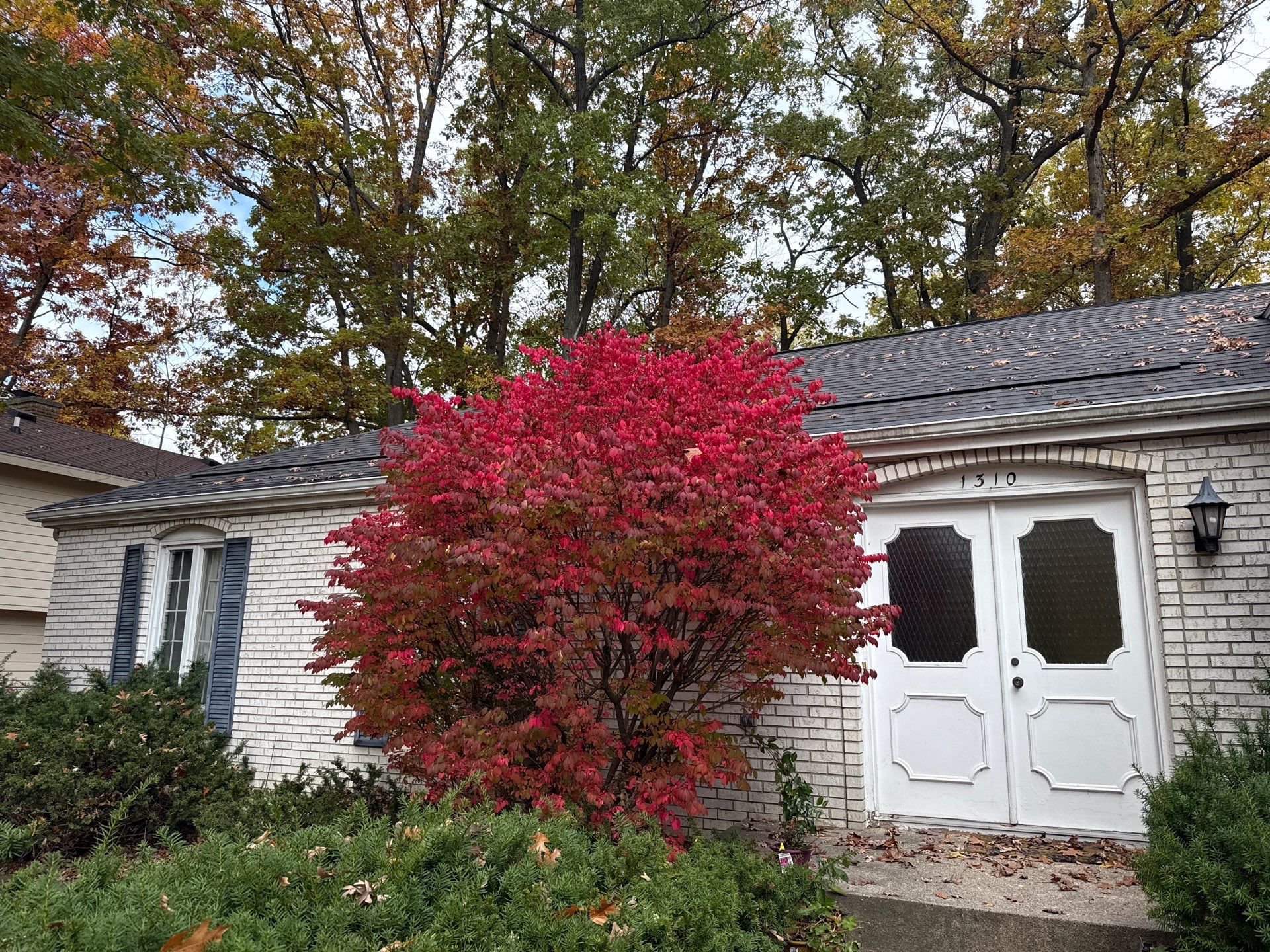 East Lansing by Sunrise Seamless