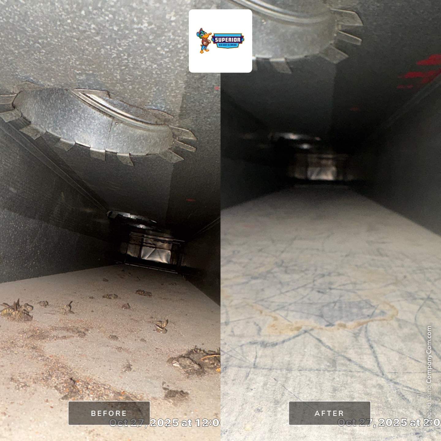 Air Duct Cleaning With a Vacuum Truck in Beaver Falls, PA by Superior Air Duct Cleaning