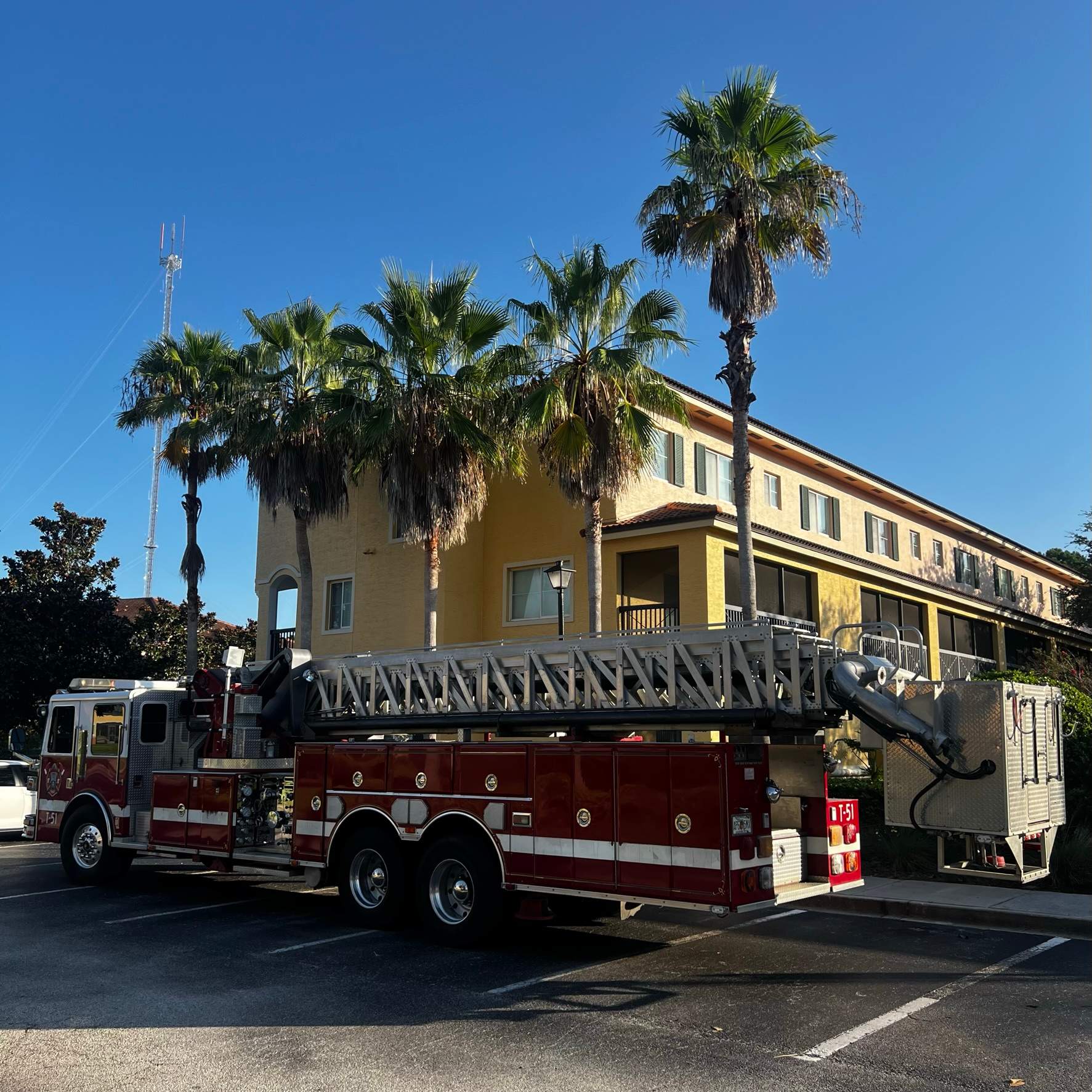 Palm Tree Trimming | IL Villagio Condominiums by ProGreen Services