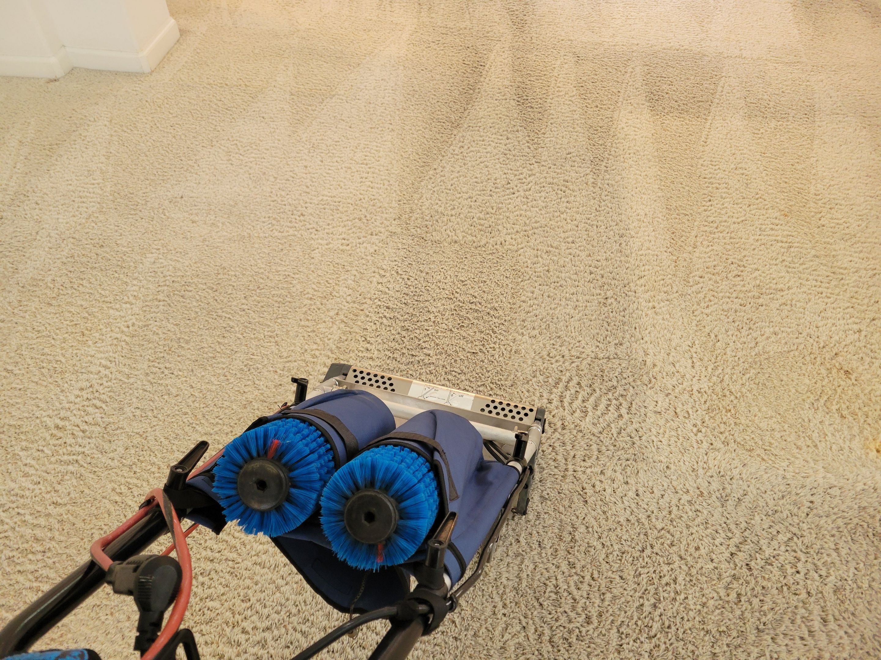Traffic Carpet Fiber Abrasions, Cleaning by Ardent Carpet Restore LLC