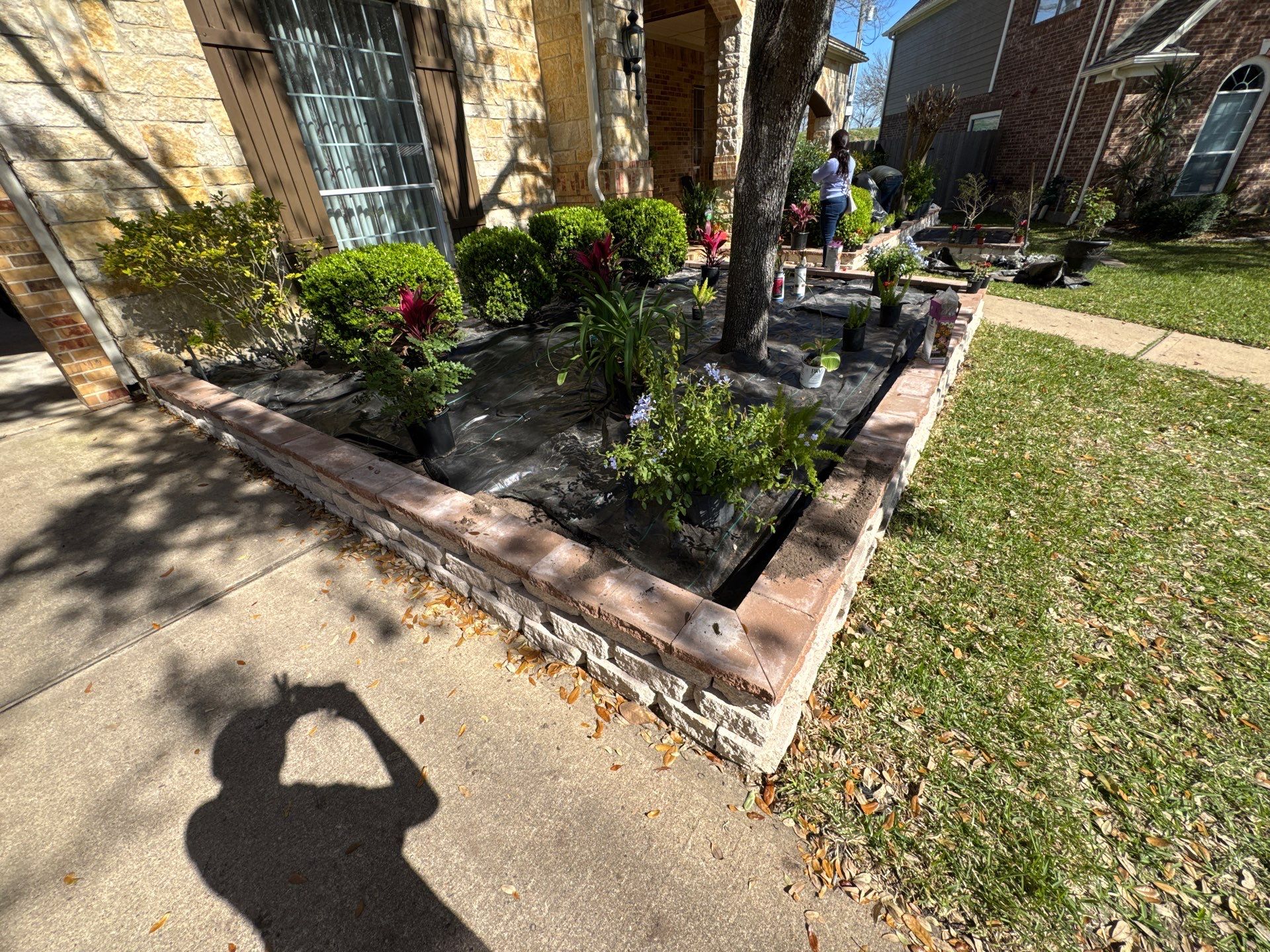 🌿 Mr. George – A True Curb Appeal Conversion by Texas Urban Elements