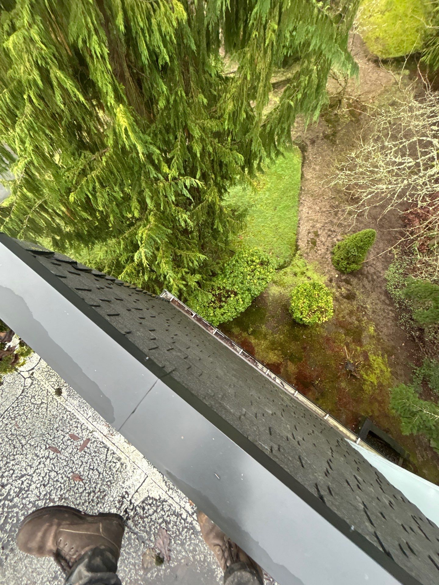 Project in Kirkland by Peaks and Valleys Construction