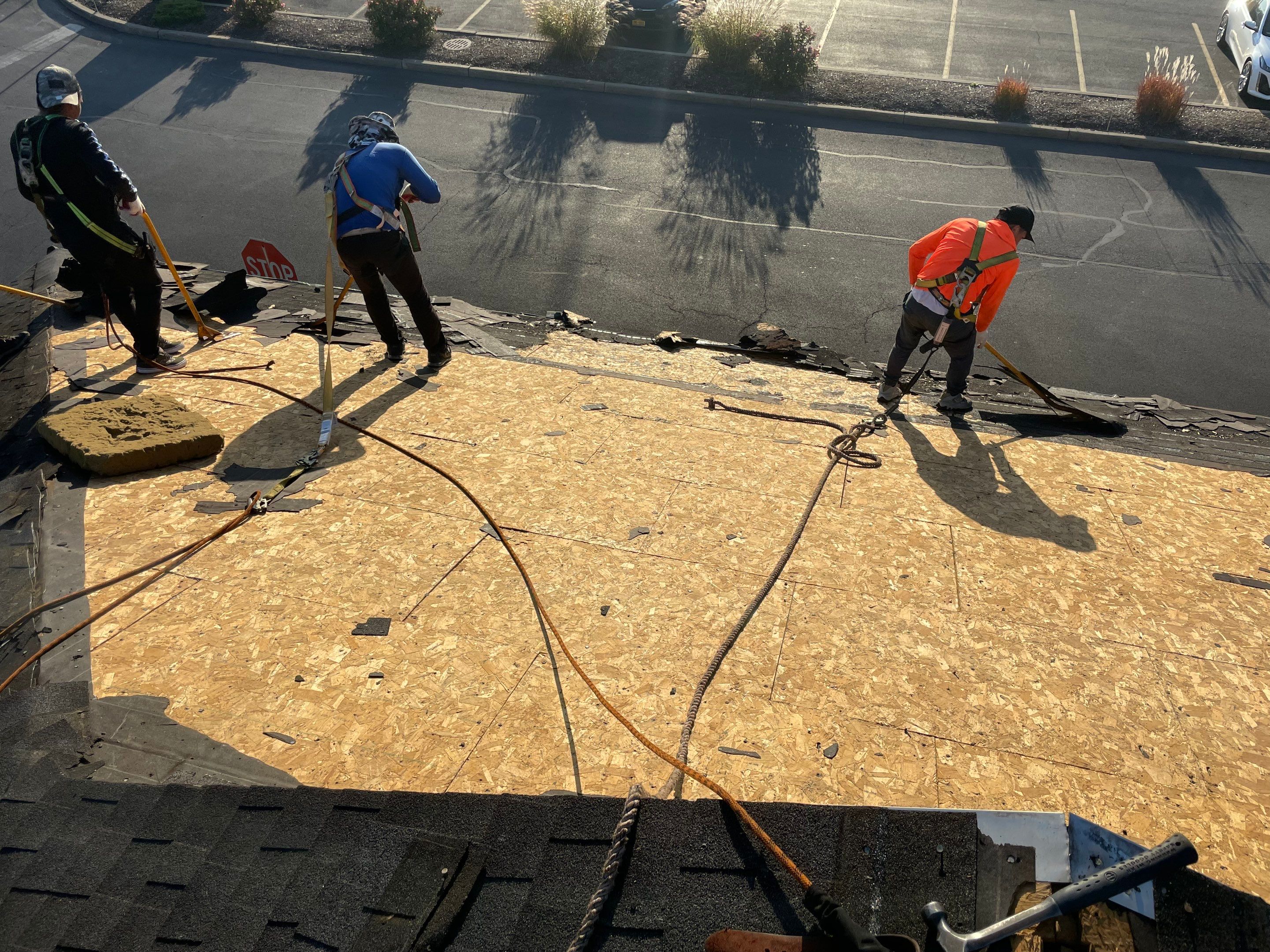 Bank Of America / Commercial Roofing Installation by All Site Roofing