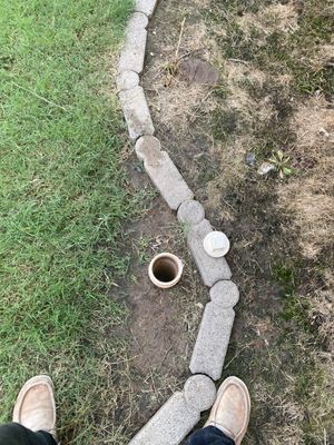 Project in Norman