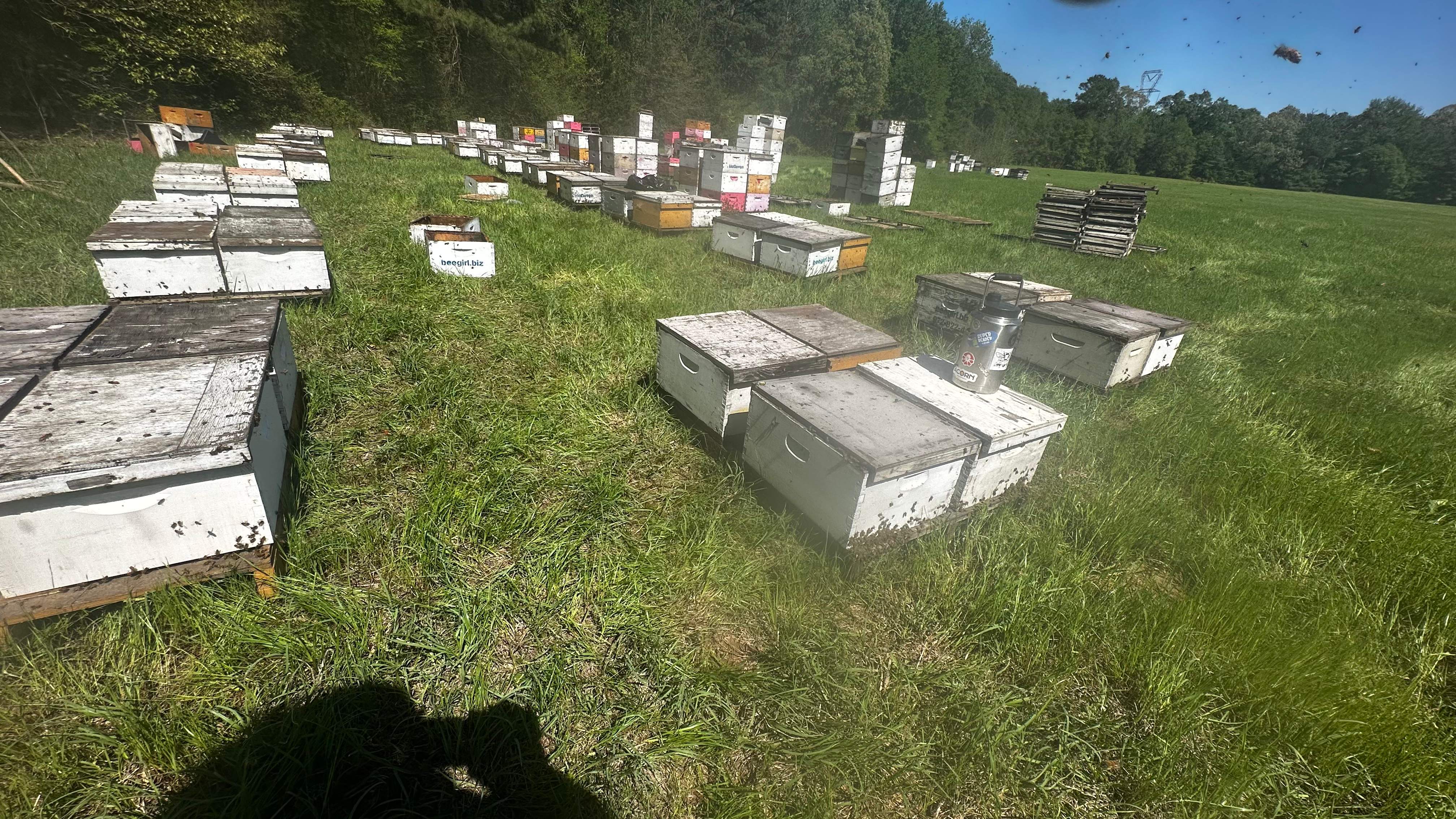 Traylor's Hay Meadow Apiary by Rockwall Honey Bee Company