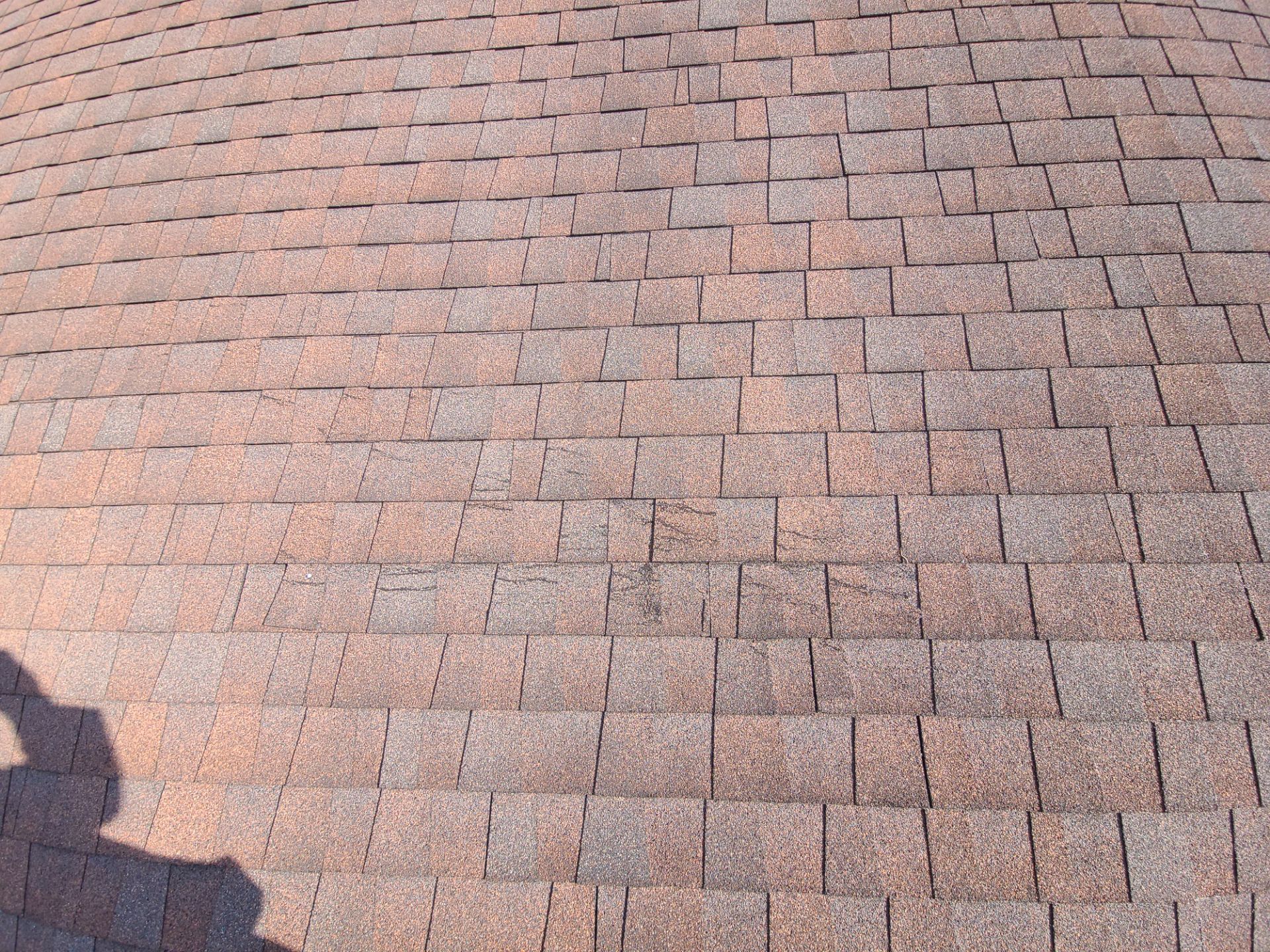 Morgan's Roof by BROCK BUILDERS 