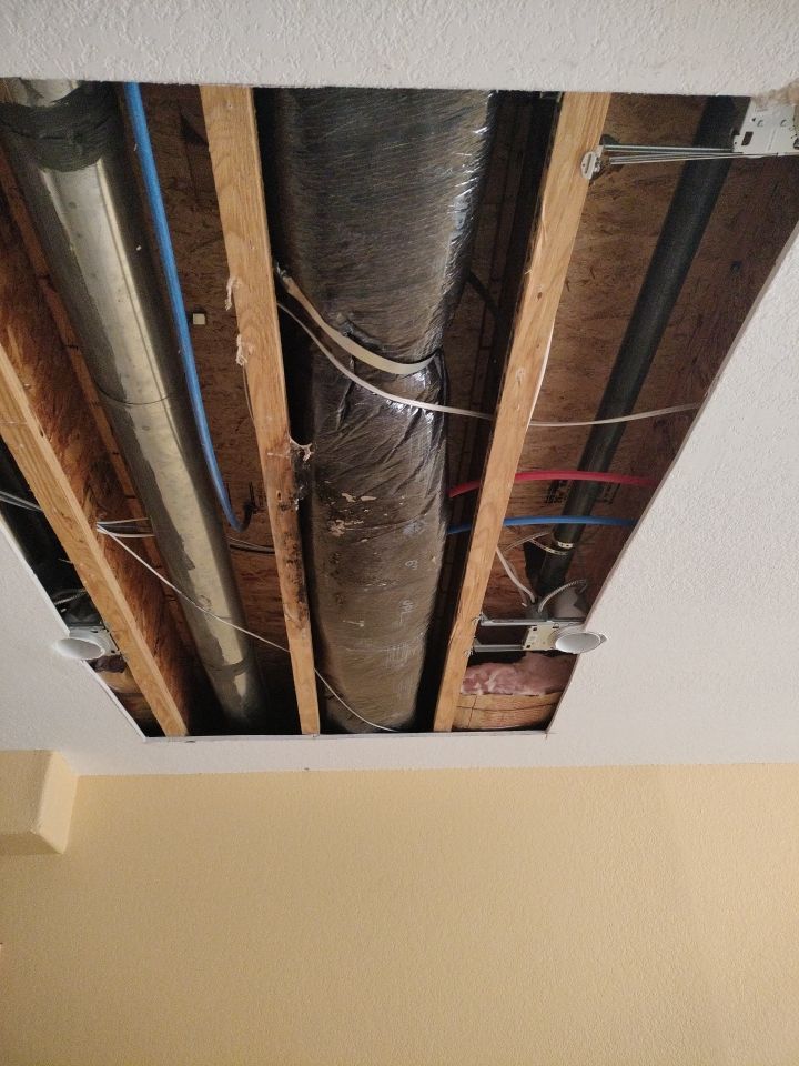 Mold Remediation by Accountable Home Services