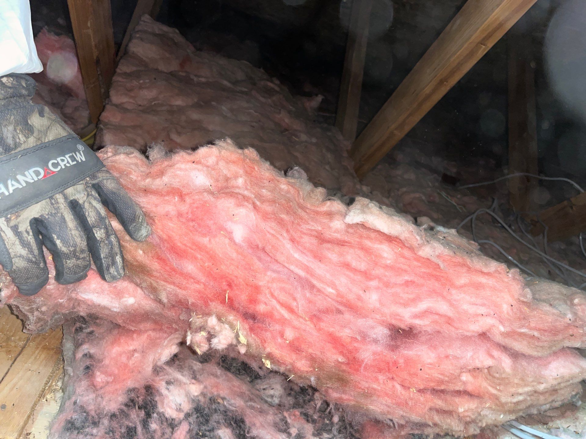 Addressing Attic Mold and Upgrading Insulation in Cranberry Township, PA 16066 by Home Environment Solutions