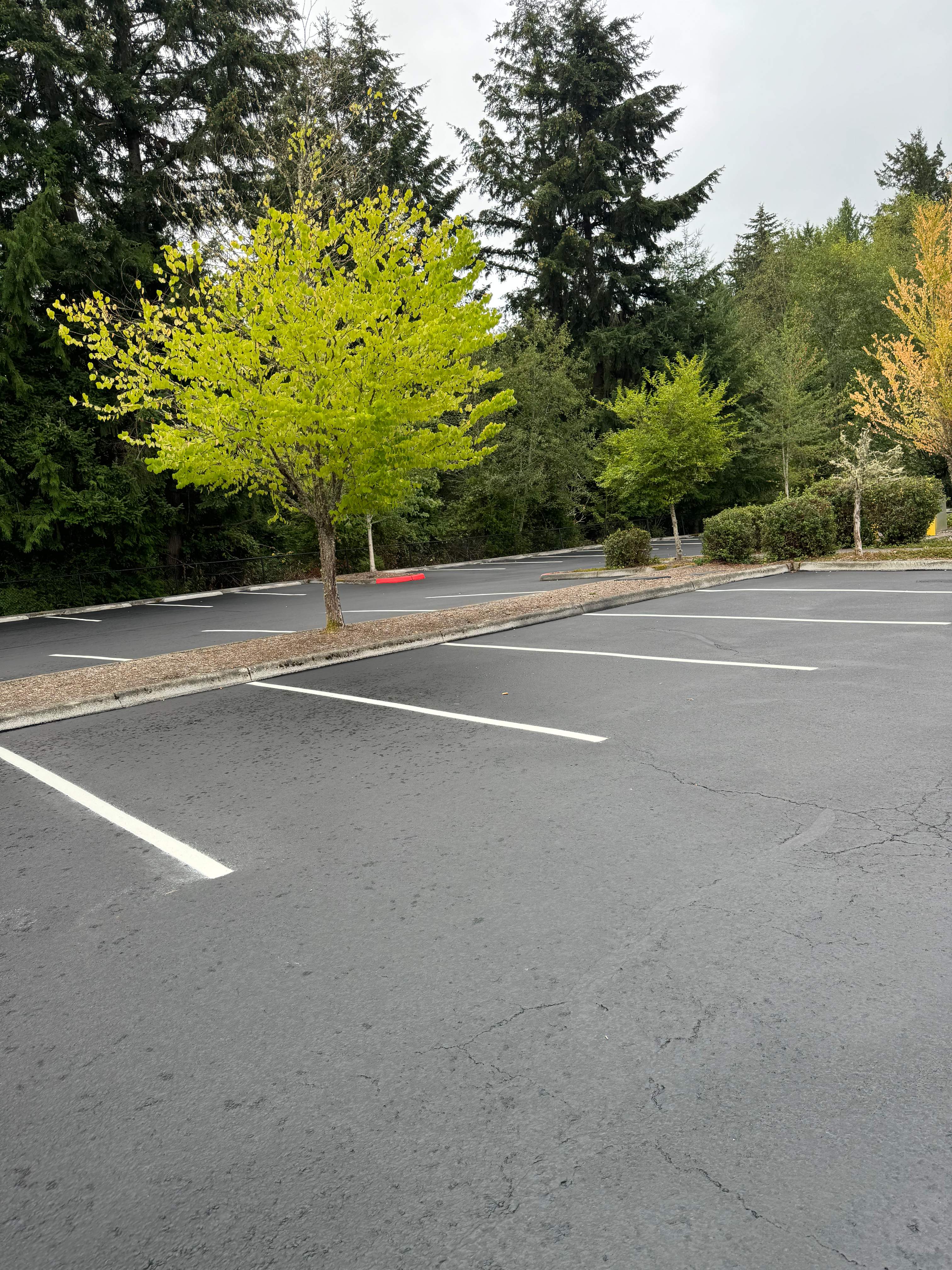Central Washington University (CWU) Parking Lot Sealcoating & Striping  by Jireh Asphalt & Concrete Inc 