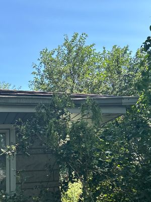 Turtle Shell gutter protection installation in Joliet, IL 60435, photograph 12