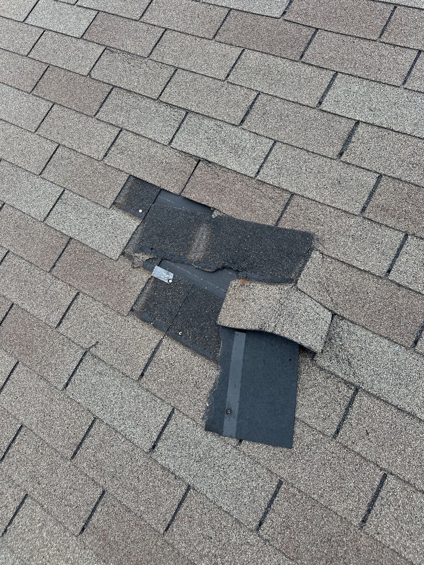 Project in Forney by Rhino Roofing and General Contracting, LLC