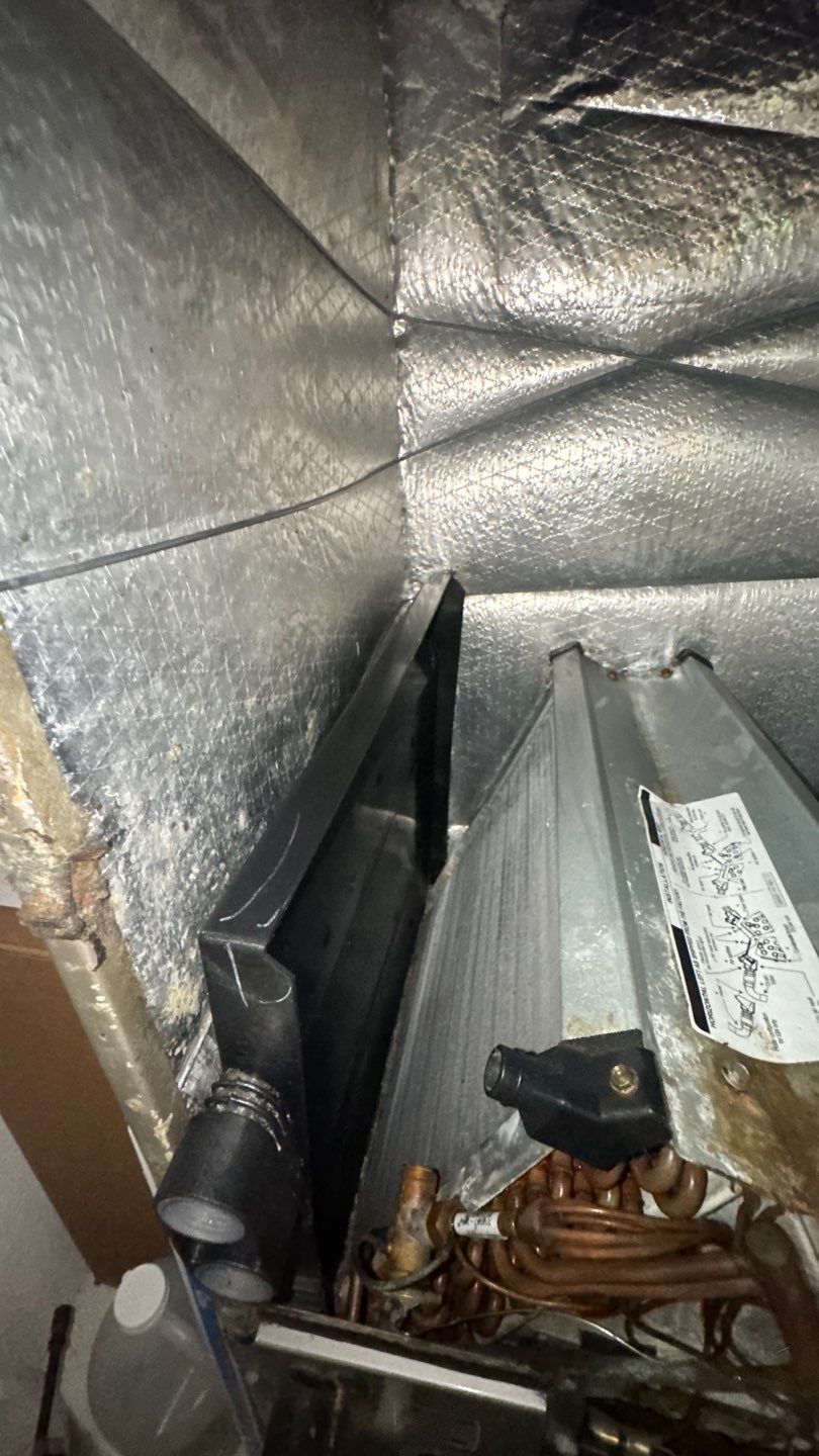 Air Duct and Dryer Vent Cleaning in Clermont by Hygienic Air, Inc