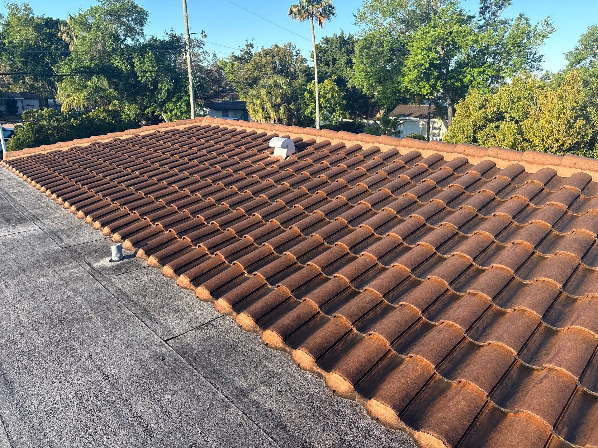 Full Exterior Cleaning Before Painting – Sarasota, FL (Near Sarasota Airport) by Sunshine AquaWash