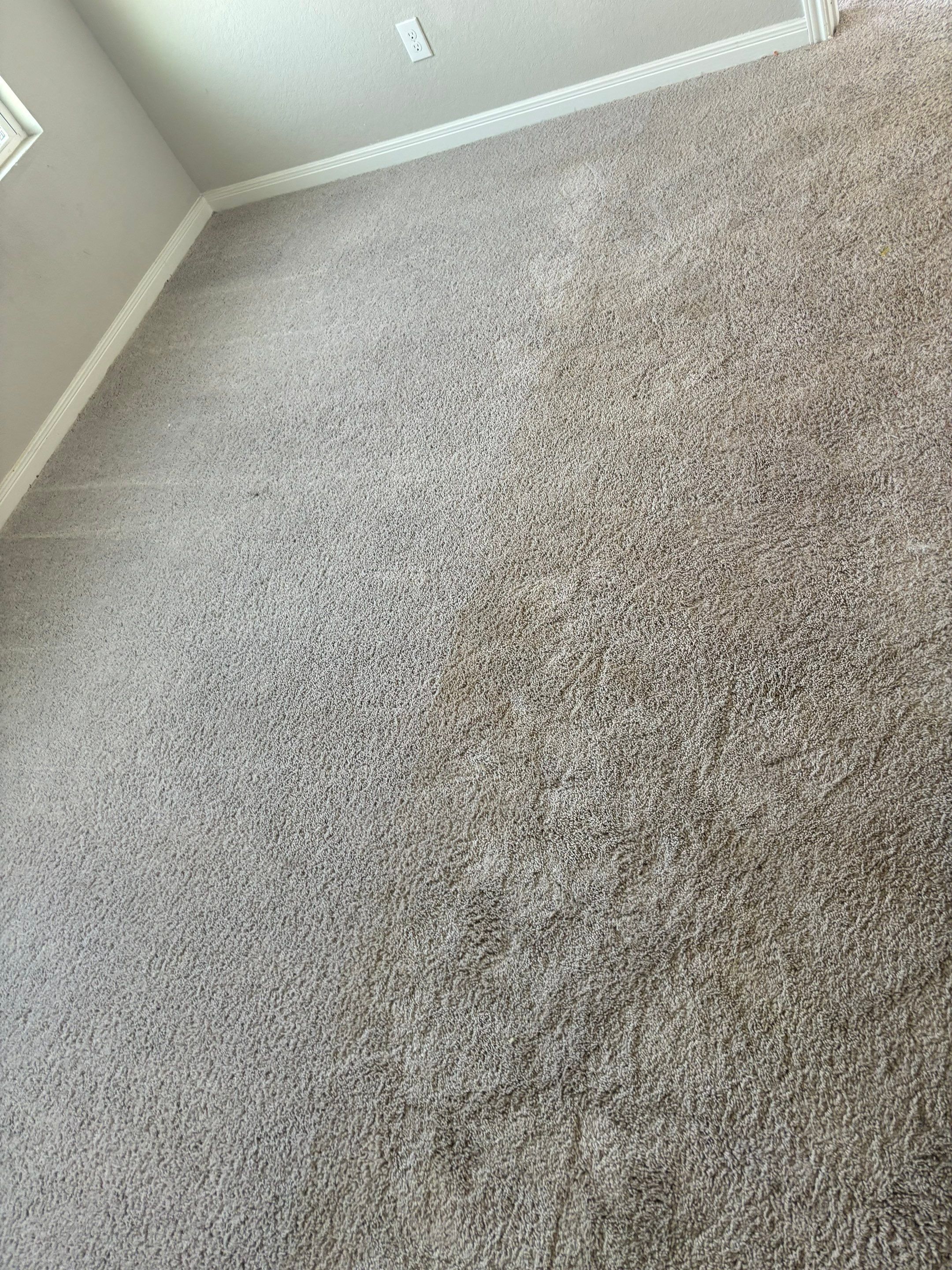 the service being done is carpet cleaning on the light gray carpet removing stains and dirt from the surface