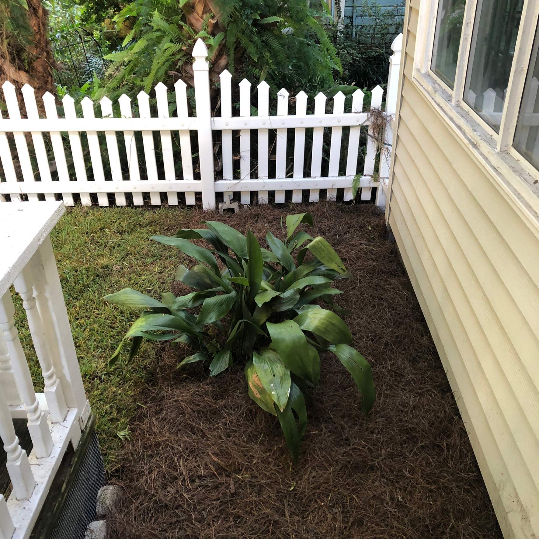 Extreme Clean Up - Landscape Install | Residential by ProGreen Services