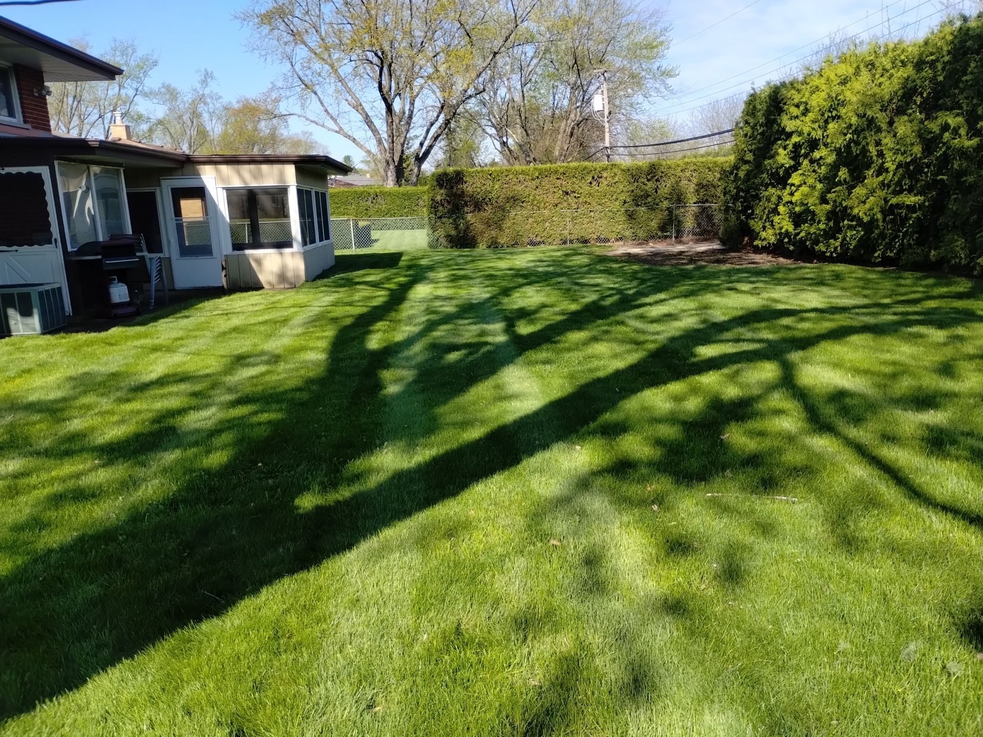 Martha C. - Mount Prospect, IL by A&N 