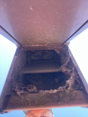 Air Duct & Dryer Vent Cleaning — Clermont