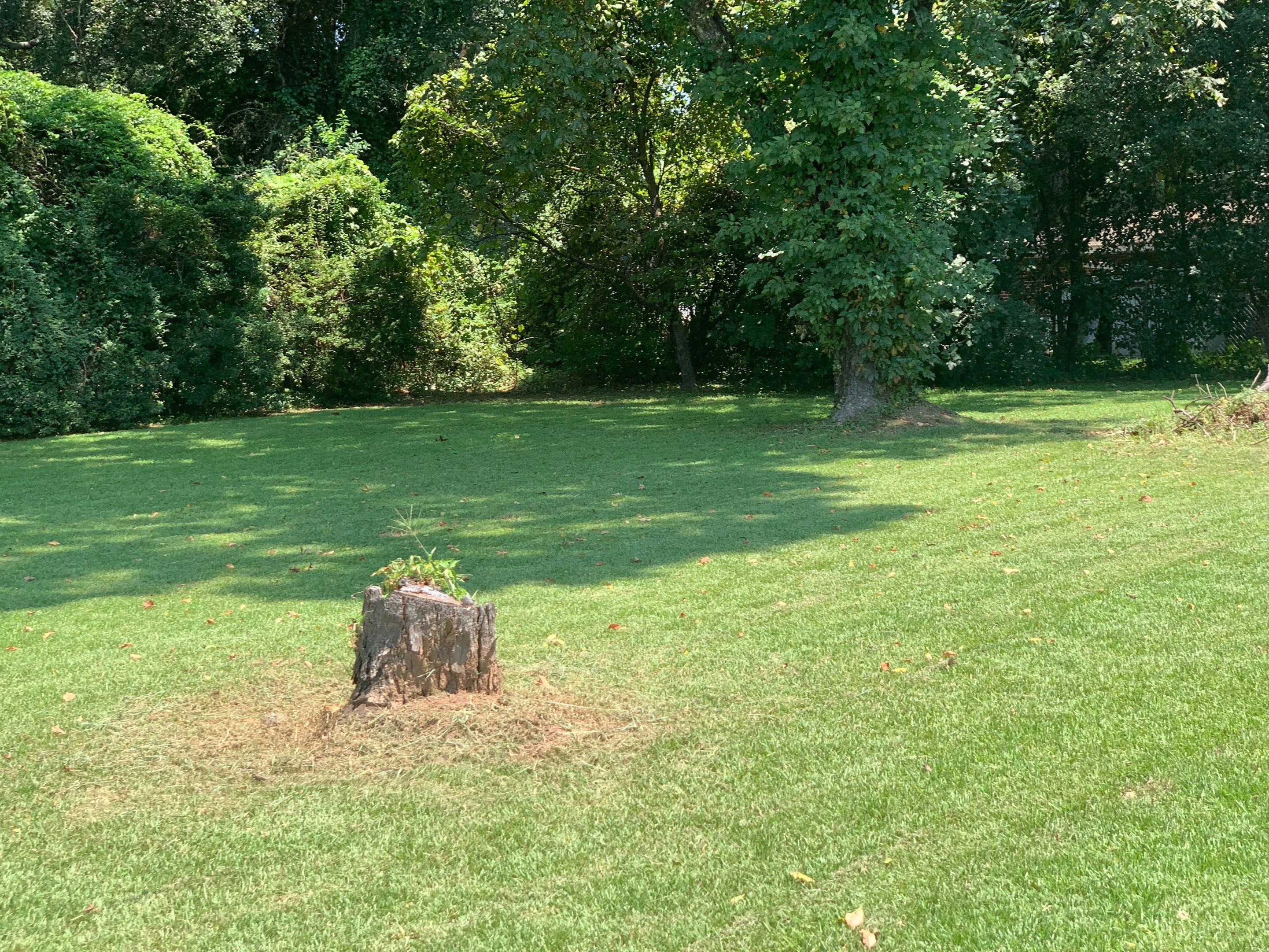 Yard Makeover by College Bros Outdoor services