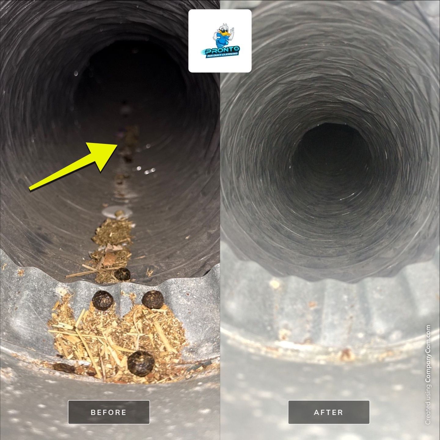 Air Duct Cleaning Manassas Park VA by Pronto Air Duct Cleaning